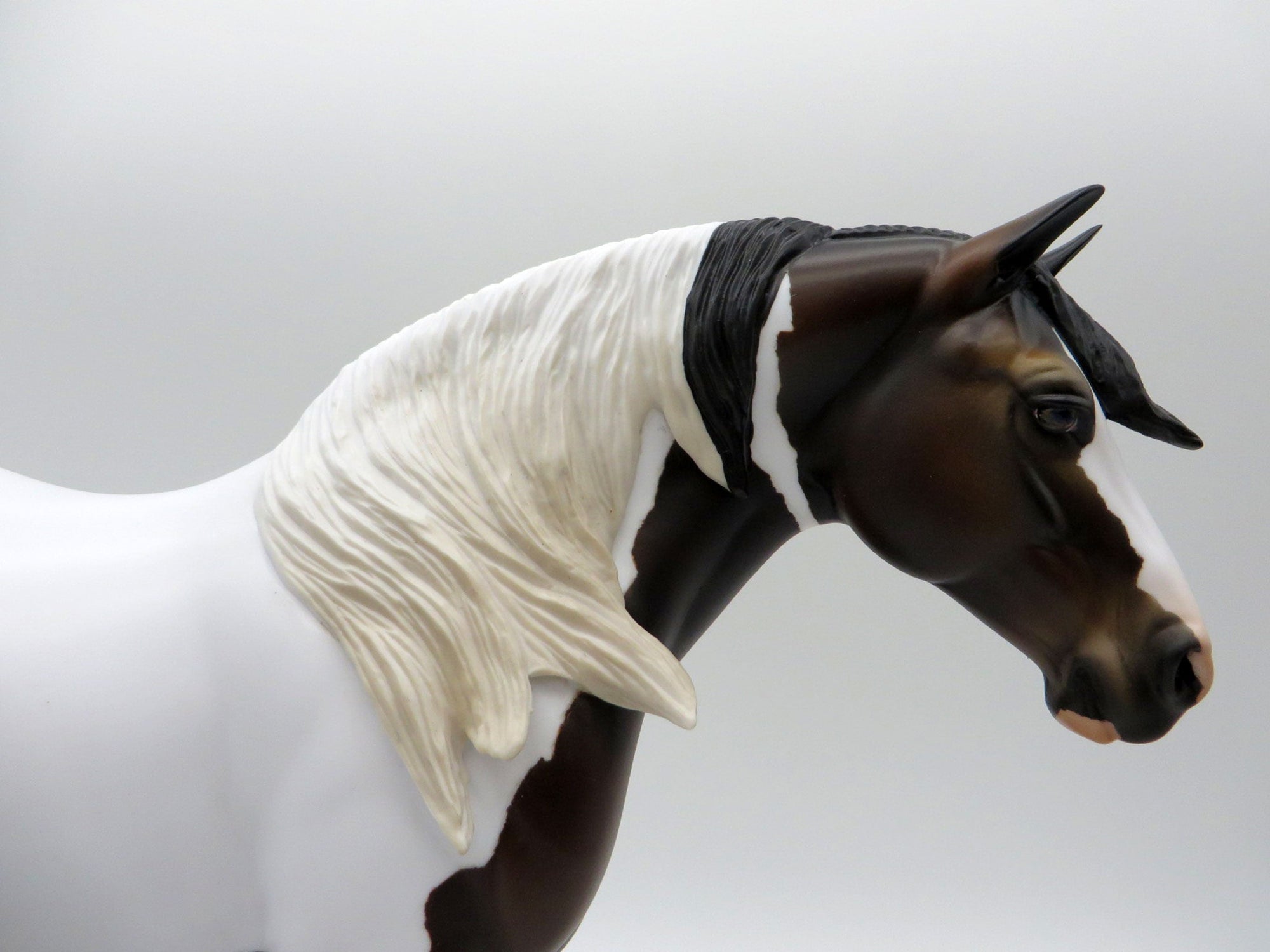 Paisley-OOAK Bay Pinto Heavy Draft Mare SHCF 2021