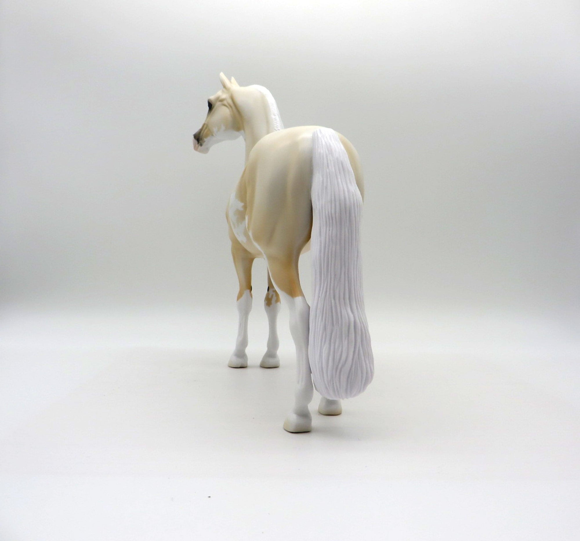 Pale Flower-OOAK Pale Palomino Morgan SHCF 2021