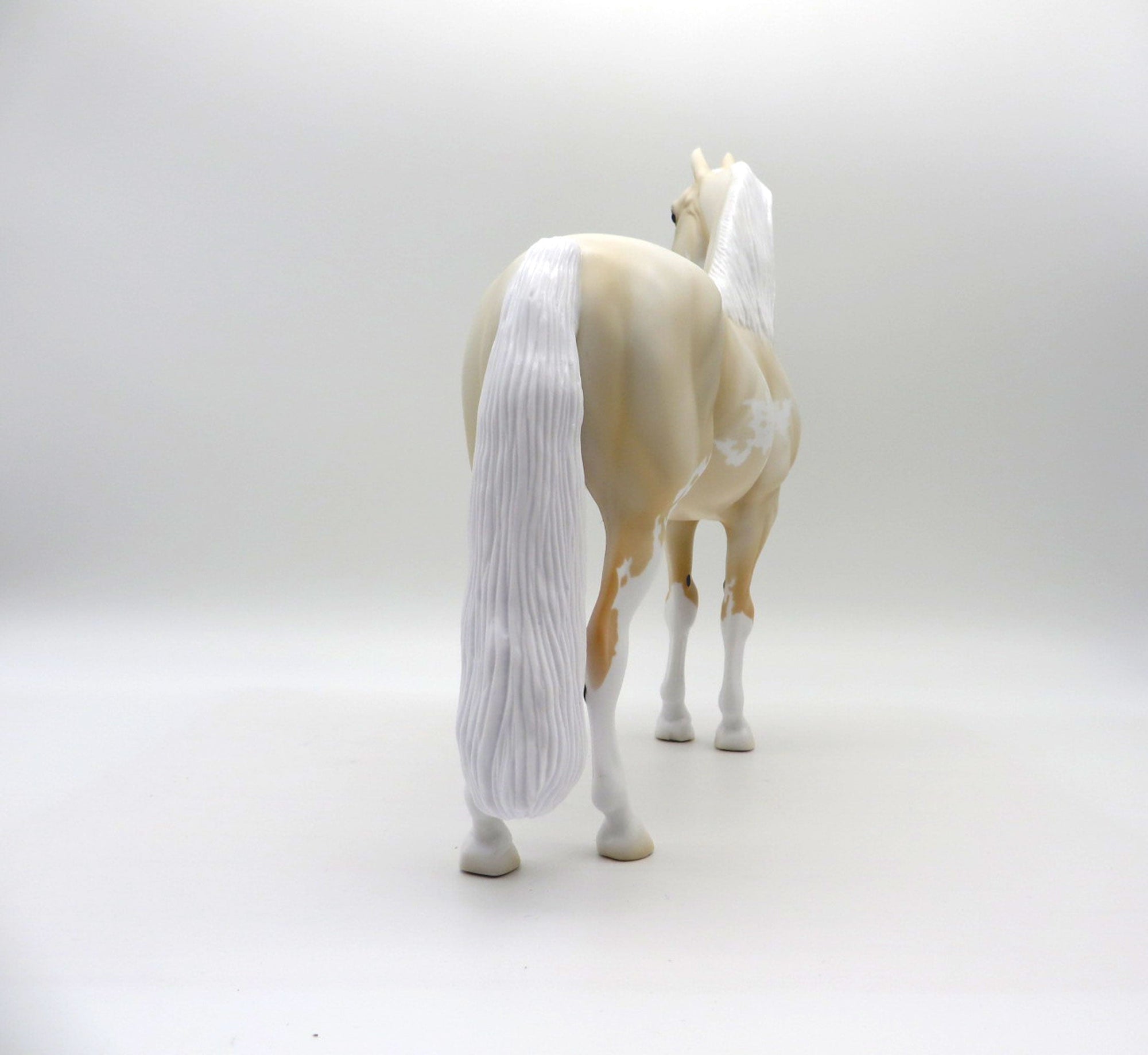 Pale Flower-OOAK Pale Palomino Morgan SHCF 2021