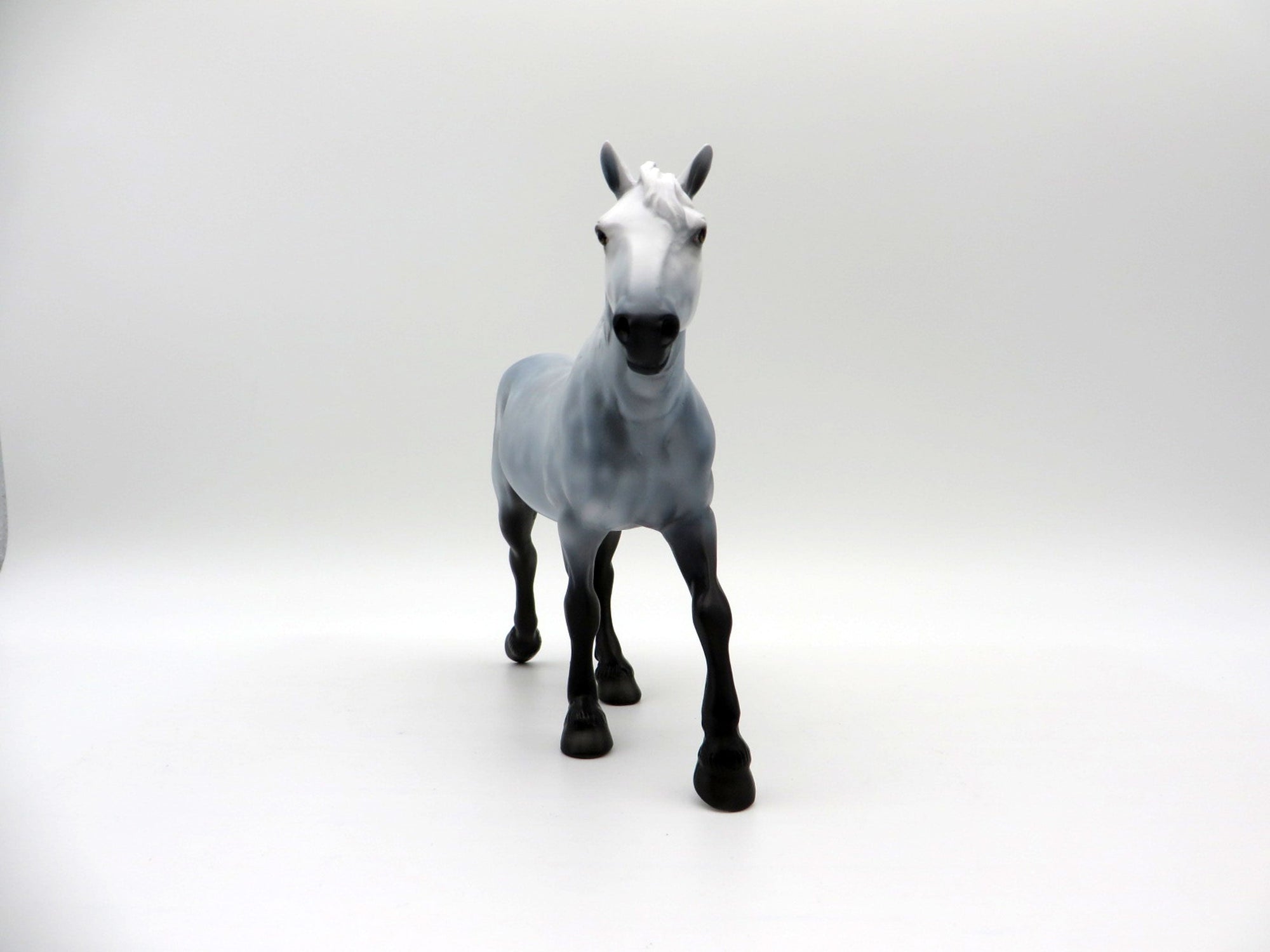 Paradox-OOAK Dapple Grey Trotting Drafter Pebbles SHCF 2021