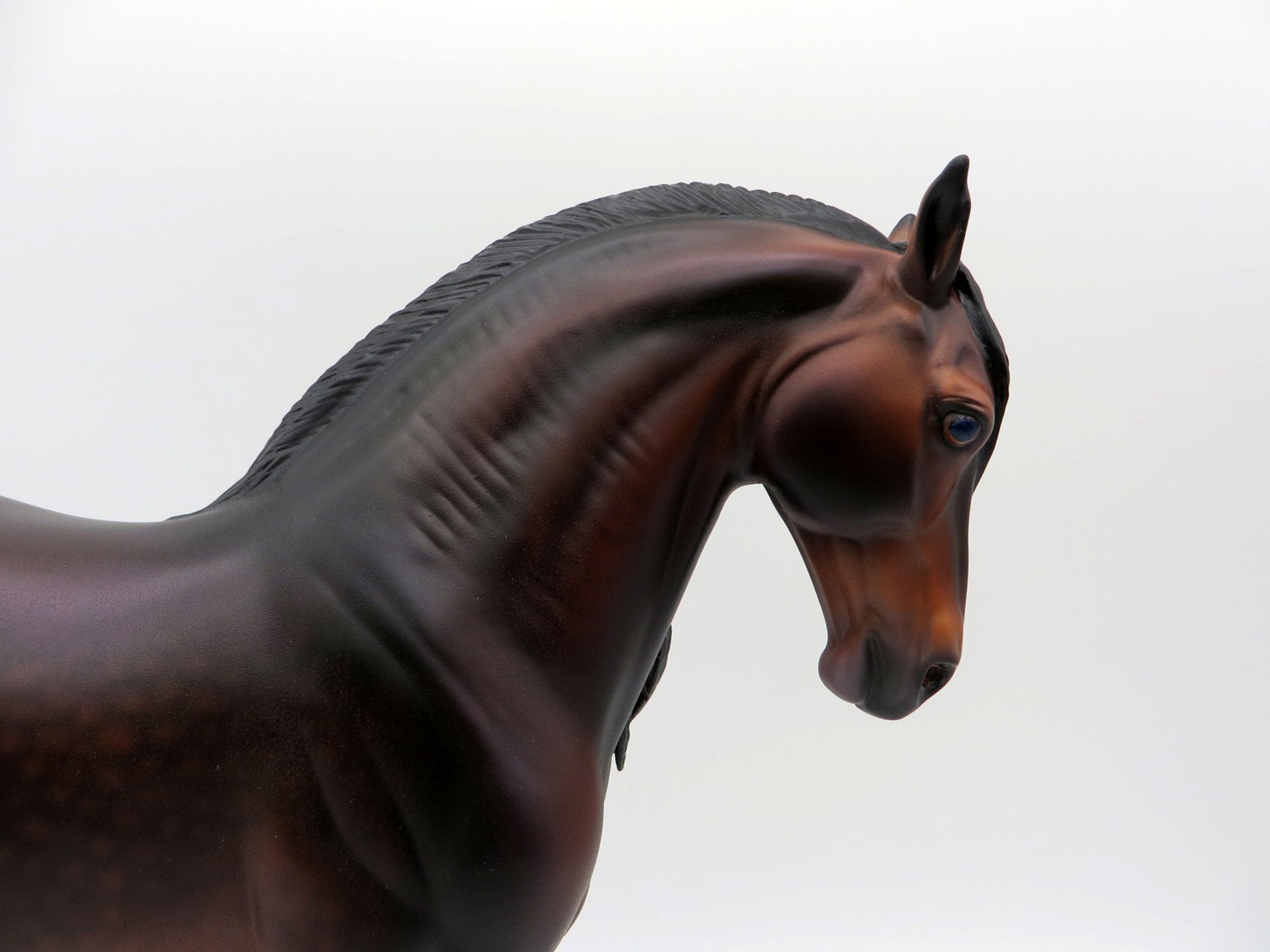 Paraguay-OOAK Dapple Bay Andalusian Painted By Caroline Boydston