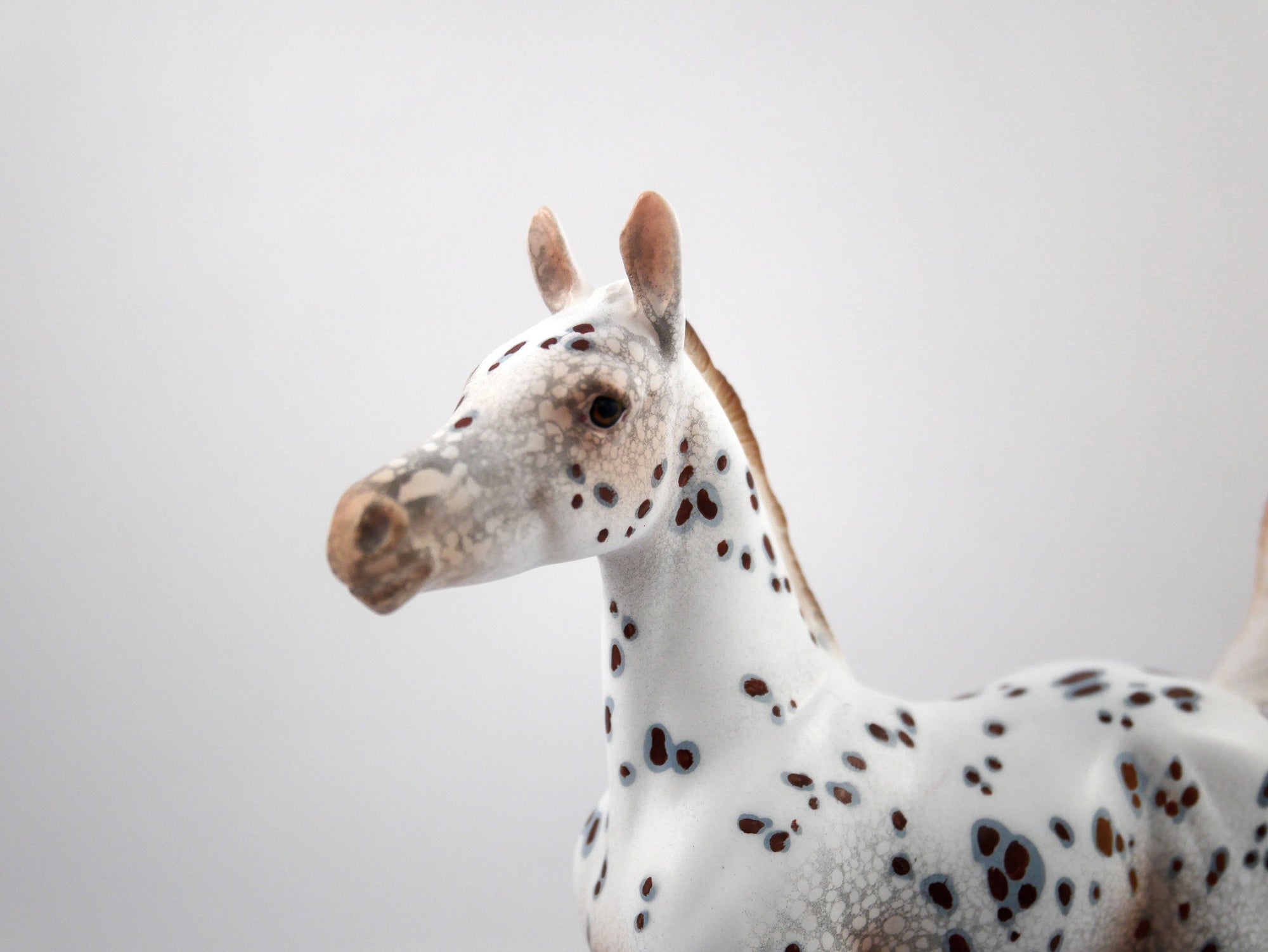 Pass It To Me-OOAK Loud Appaloosa Foal SB 21