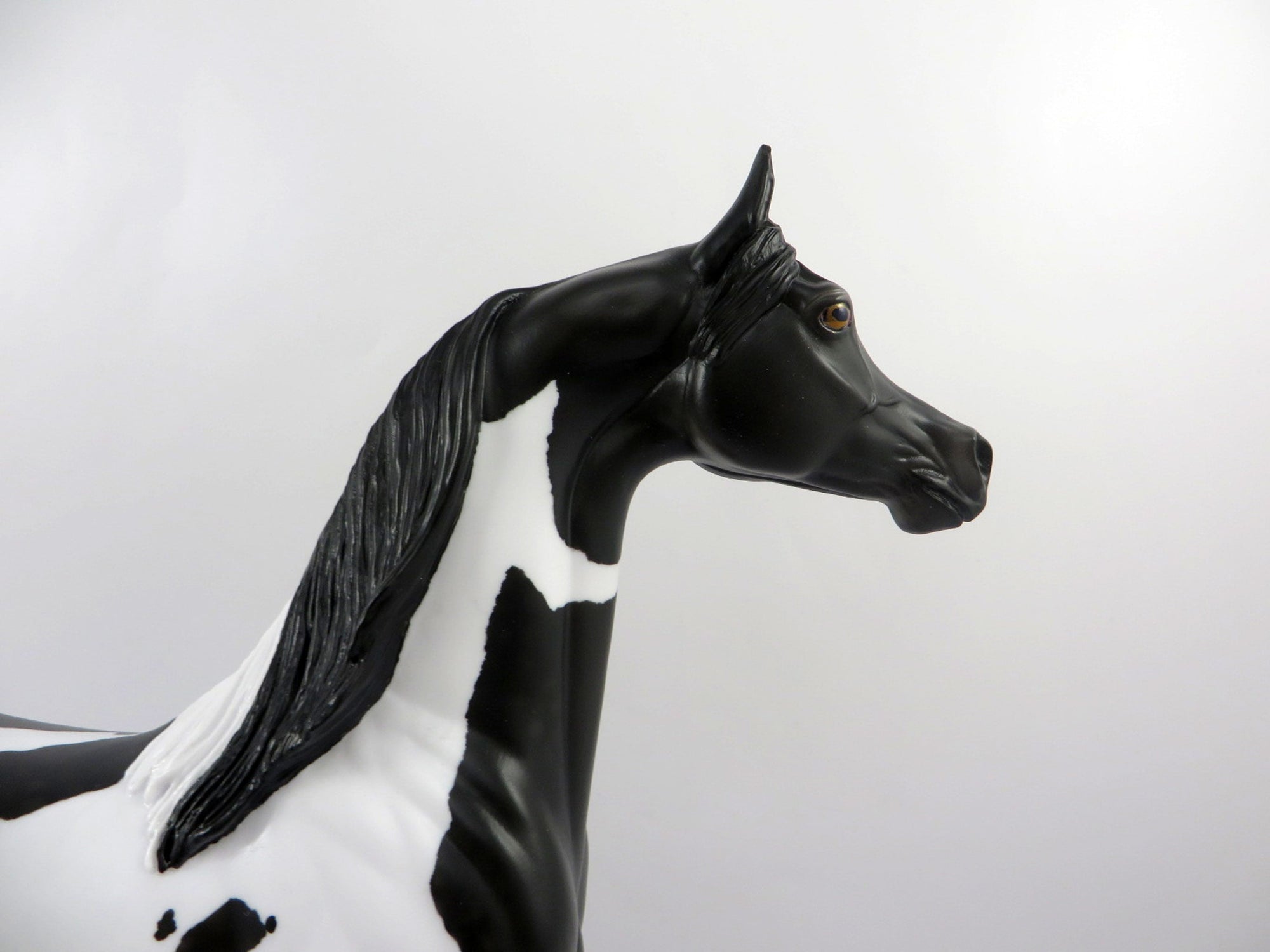 Passage Dapple Black Paint Arabian Painted By Audrey Dixon 3/12/21