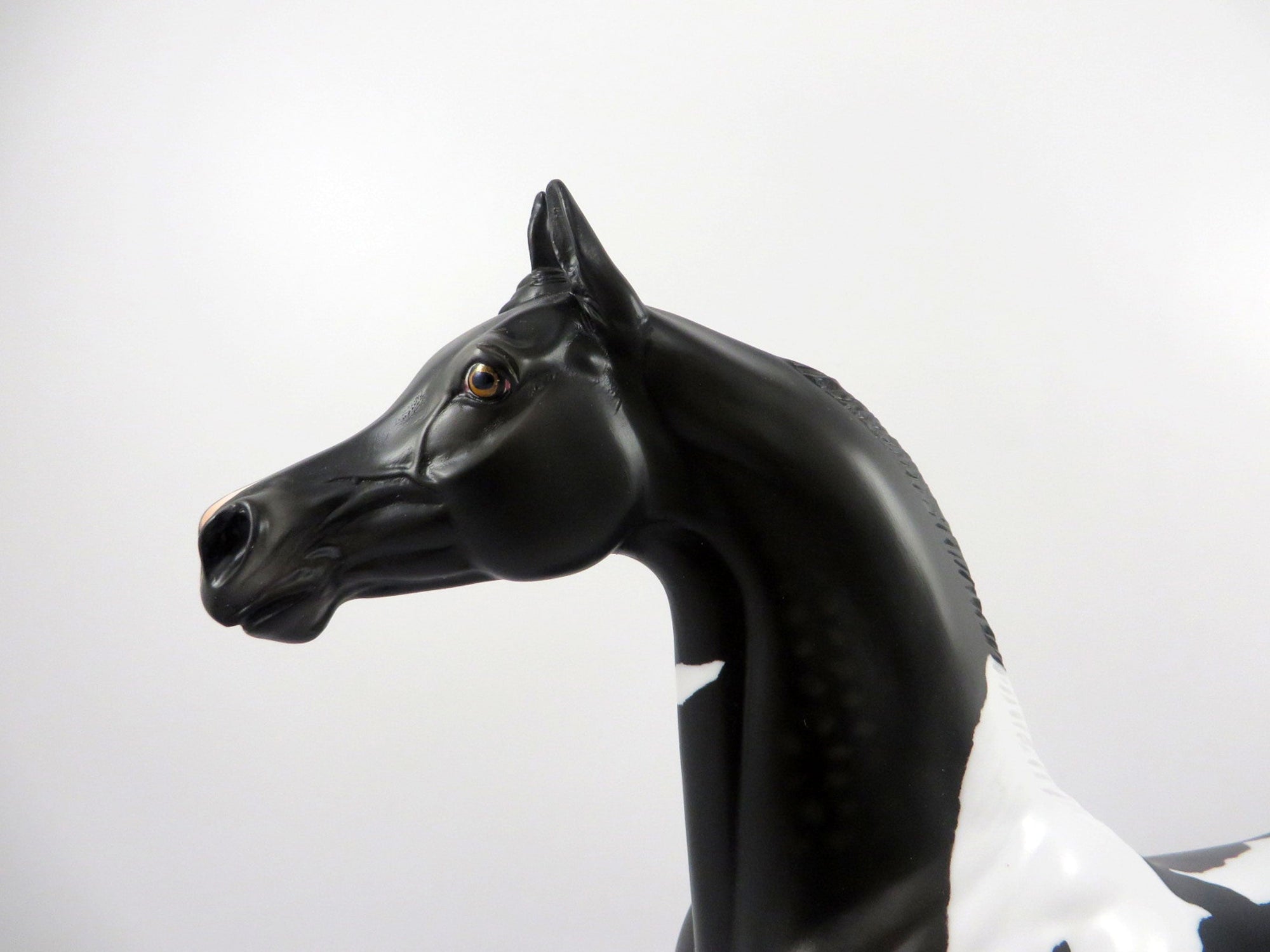 Passage Dapple Black Paint Arabian Painted By Audrey Dixon 3/12/21