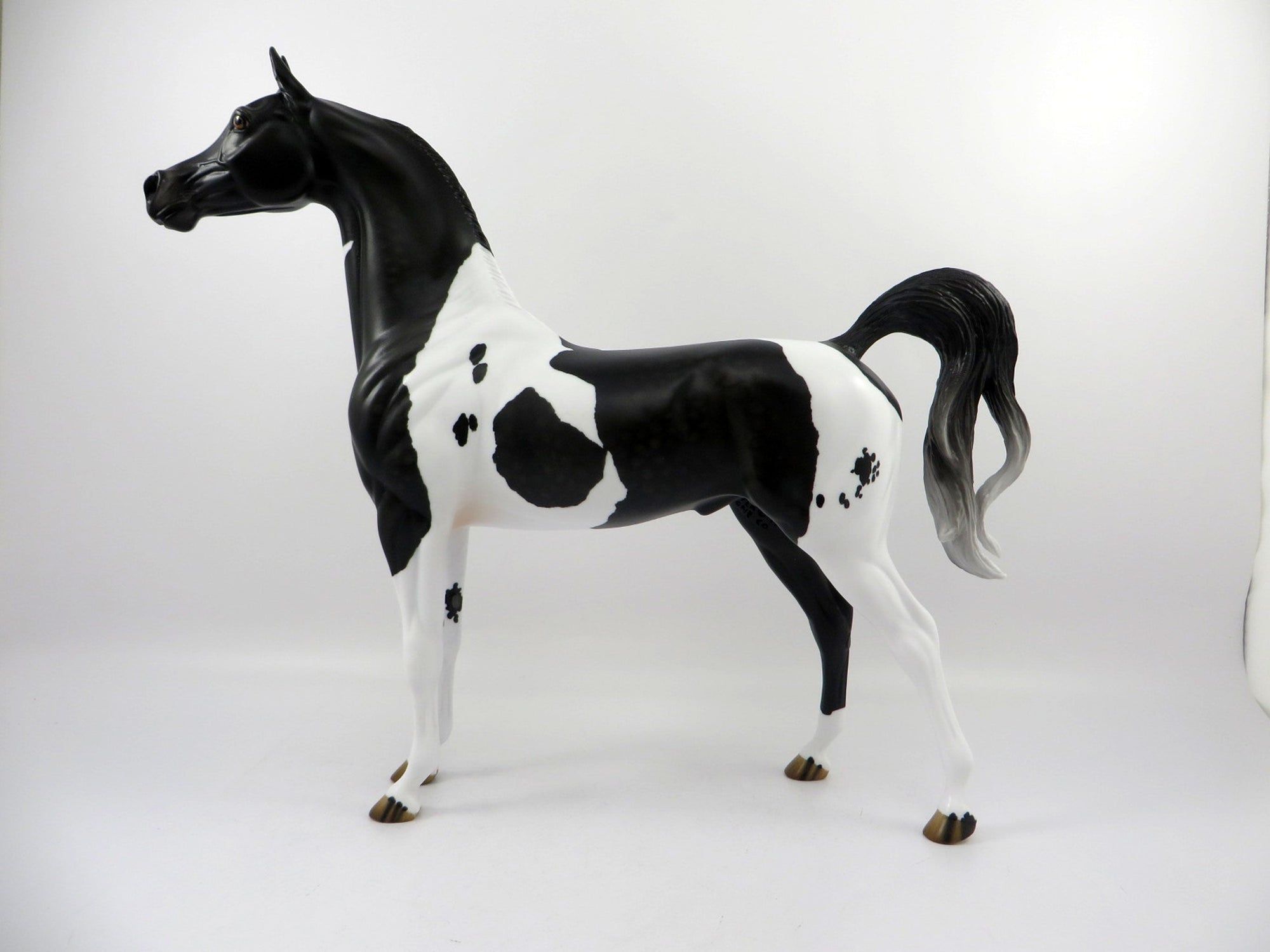 Passage Dapple Black Paint Arabian Painted By Audrey Dixon 3/12/21