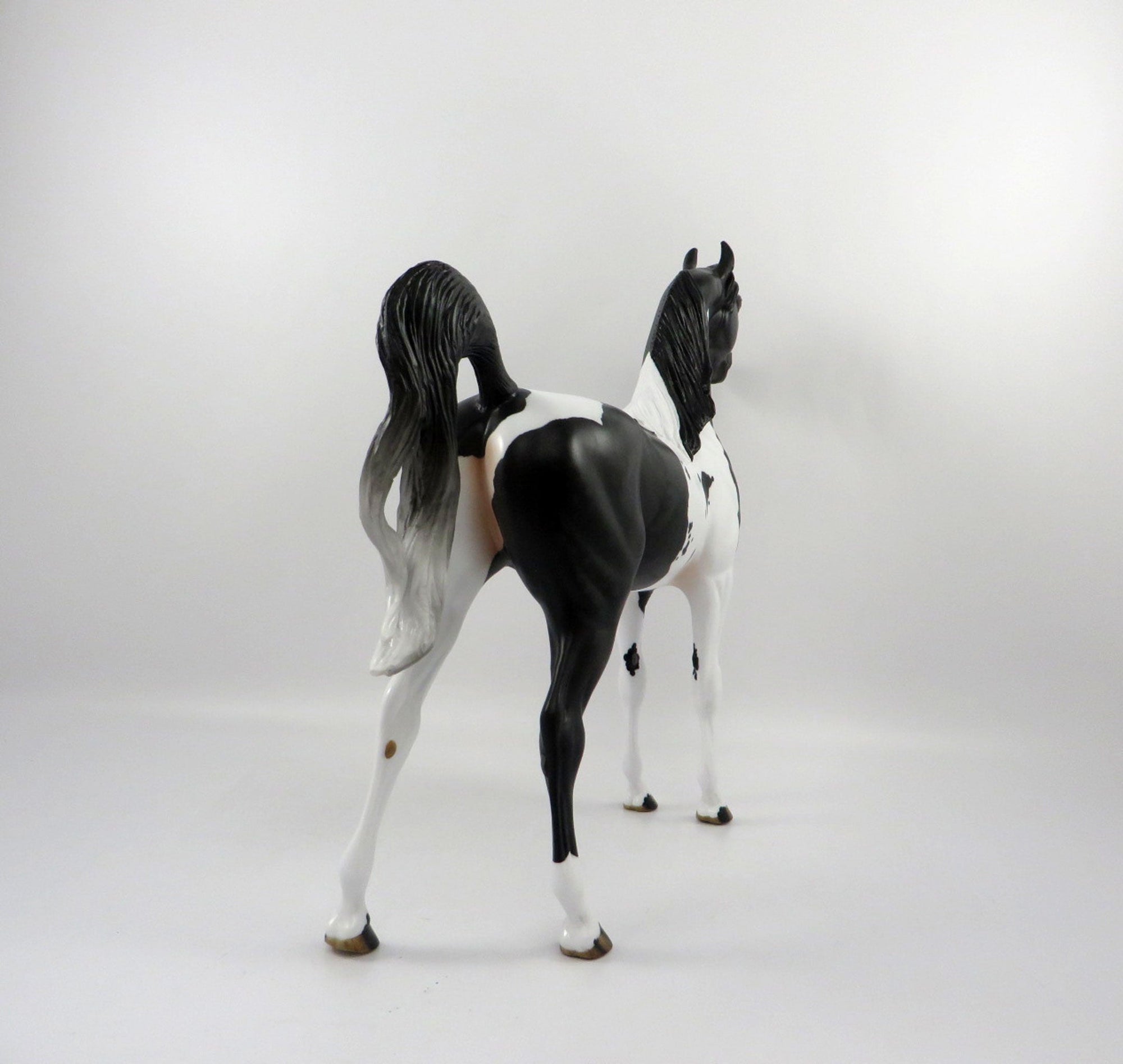 Passage Dapple Black Paint Arabian Painted By Audrey Dixon 3/12/21