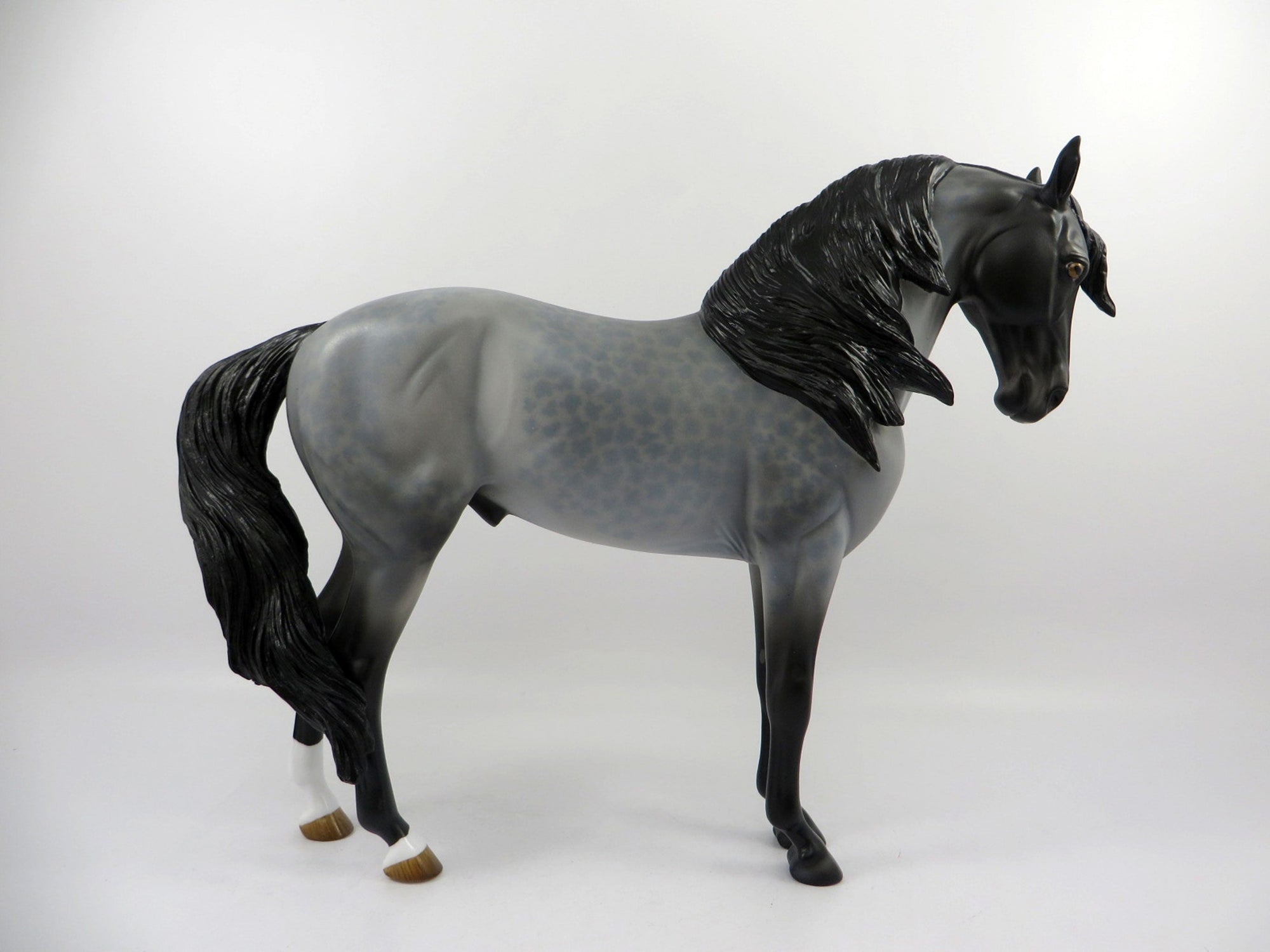 Passport-OOAK Reversed Dapple Roan Andalusian Painted By Audrey Dixon 3/12/21