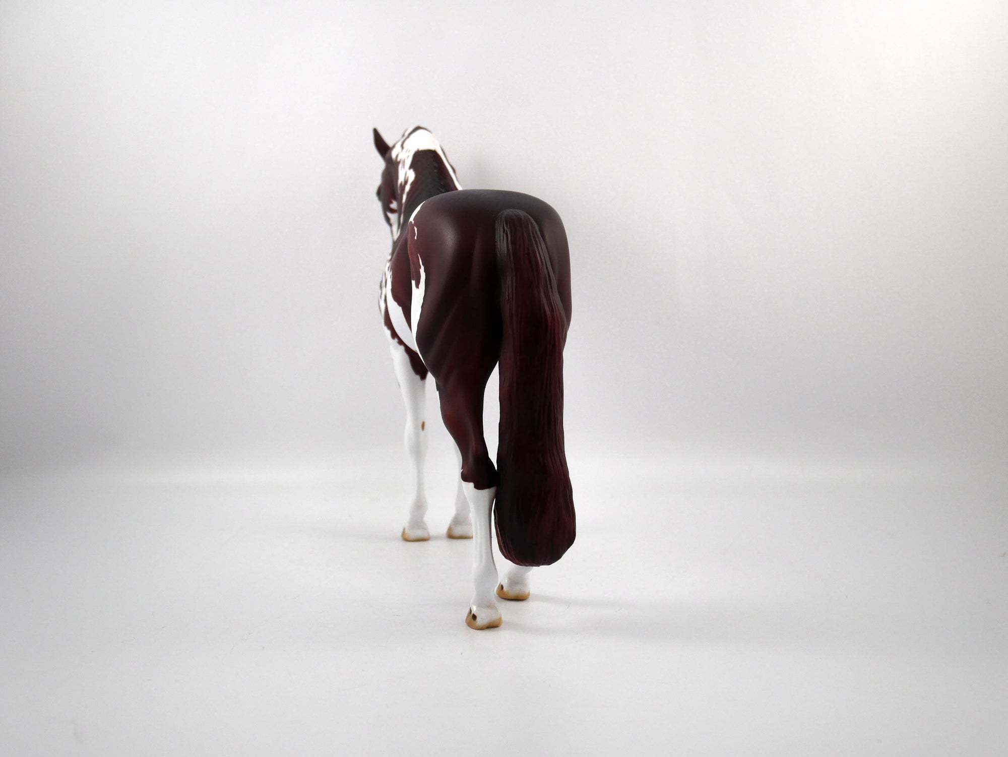 Penalty-OOAK Chestnut Paint Andalusian SB 21