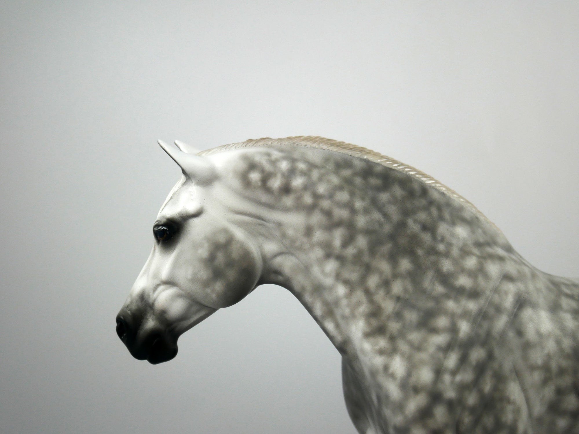 Penelope-Star Dapple Grey Heavy Draft Mare Painted By Sheryl Leisure 1/21