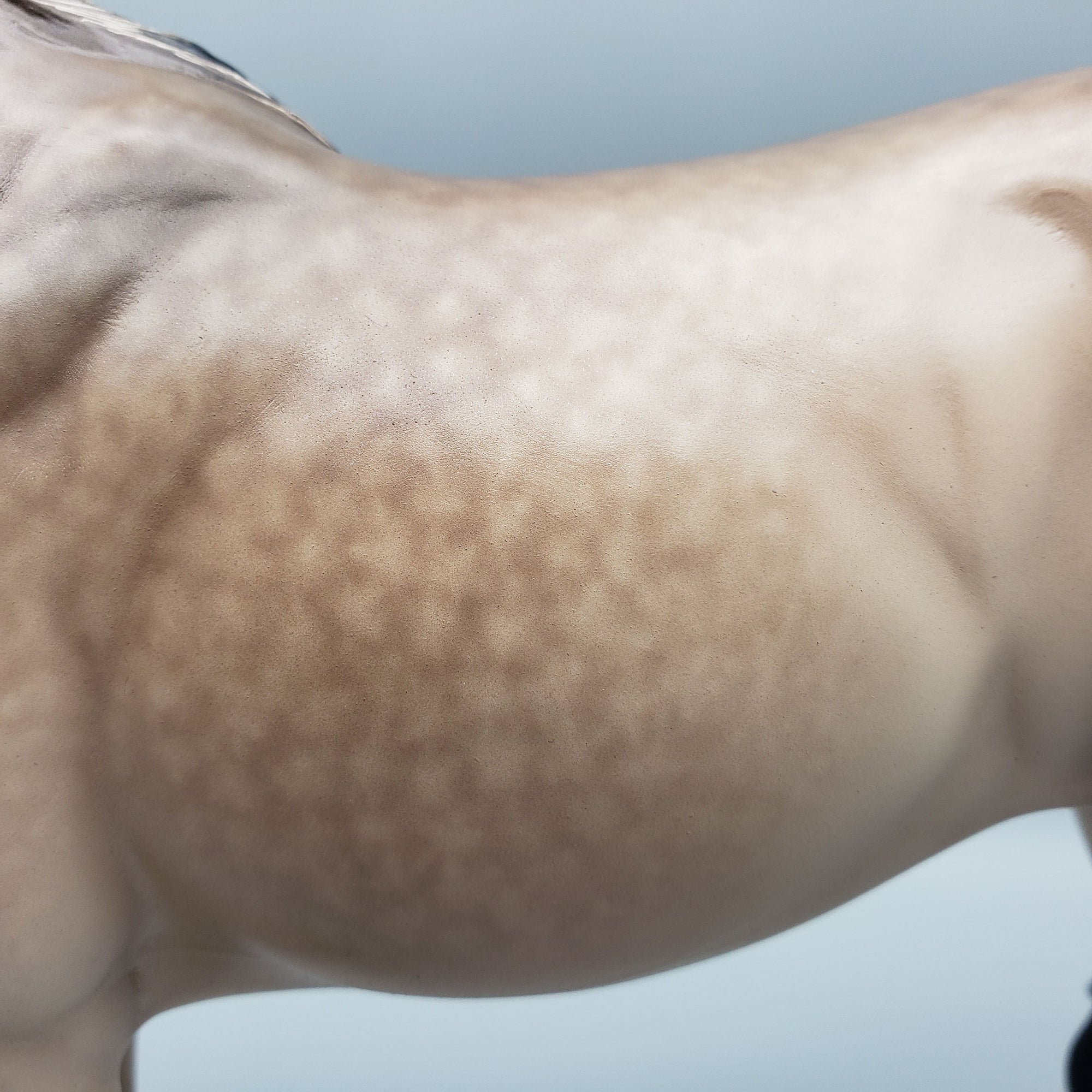 Penny OOAK Buckskin ISH By Sheryl Leisure Best Offers 6/19/23