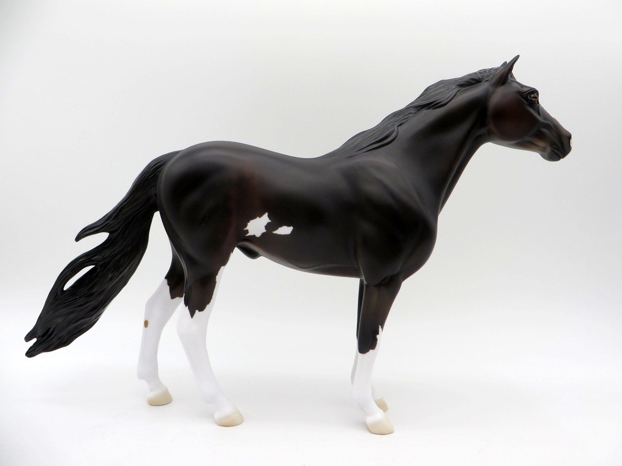 Perseus-OOAK Bay Pinto Mustang SHCF 2021