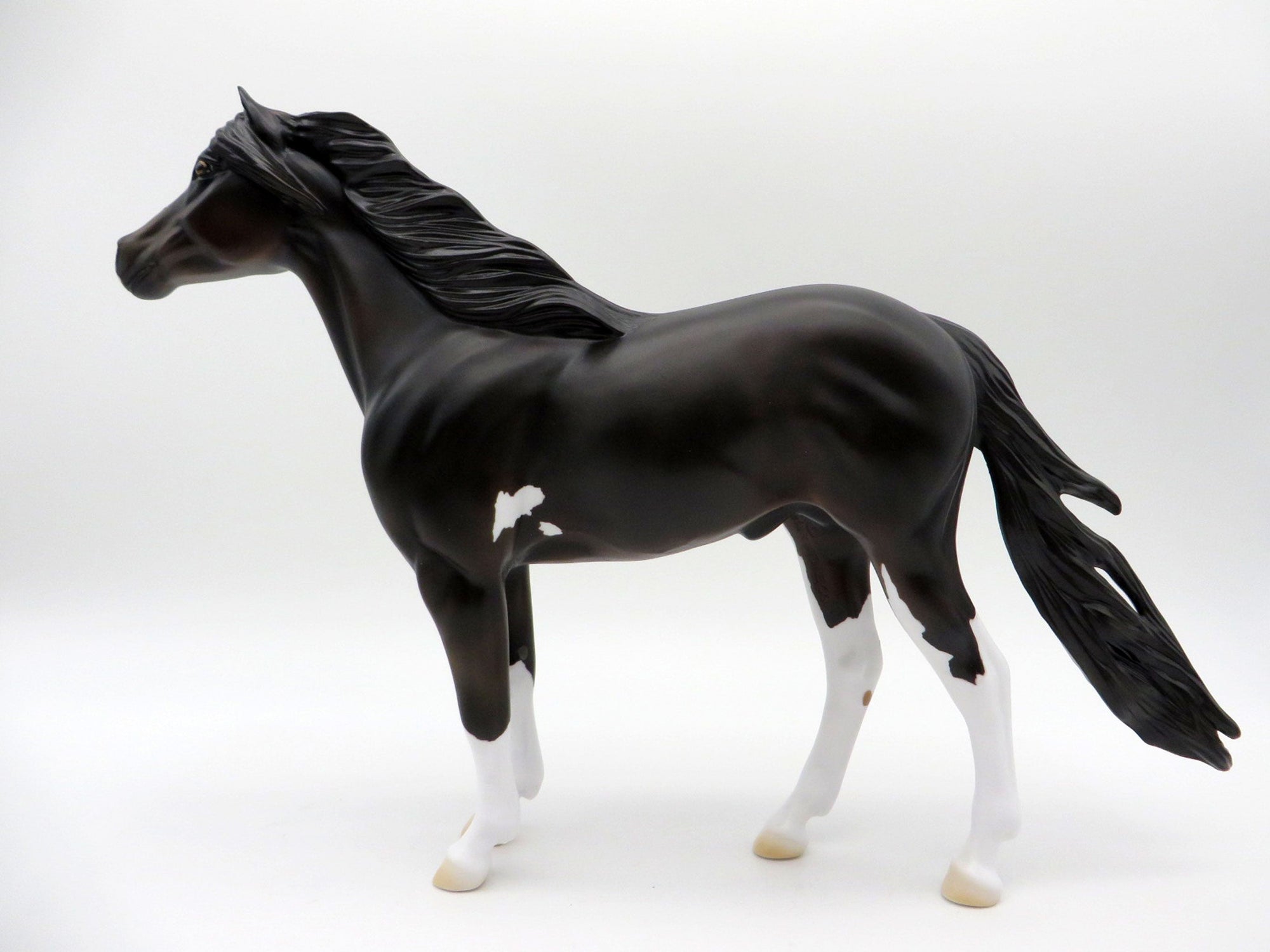 Perseus-OOAK Bay Pinto Mustang SHCF 2021