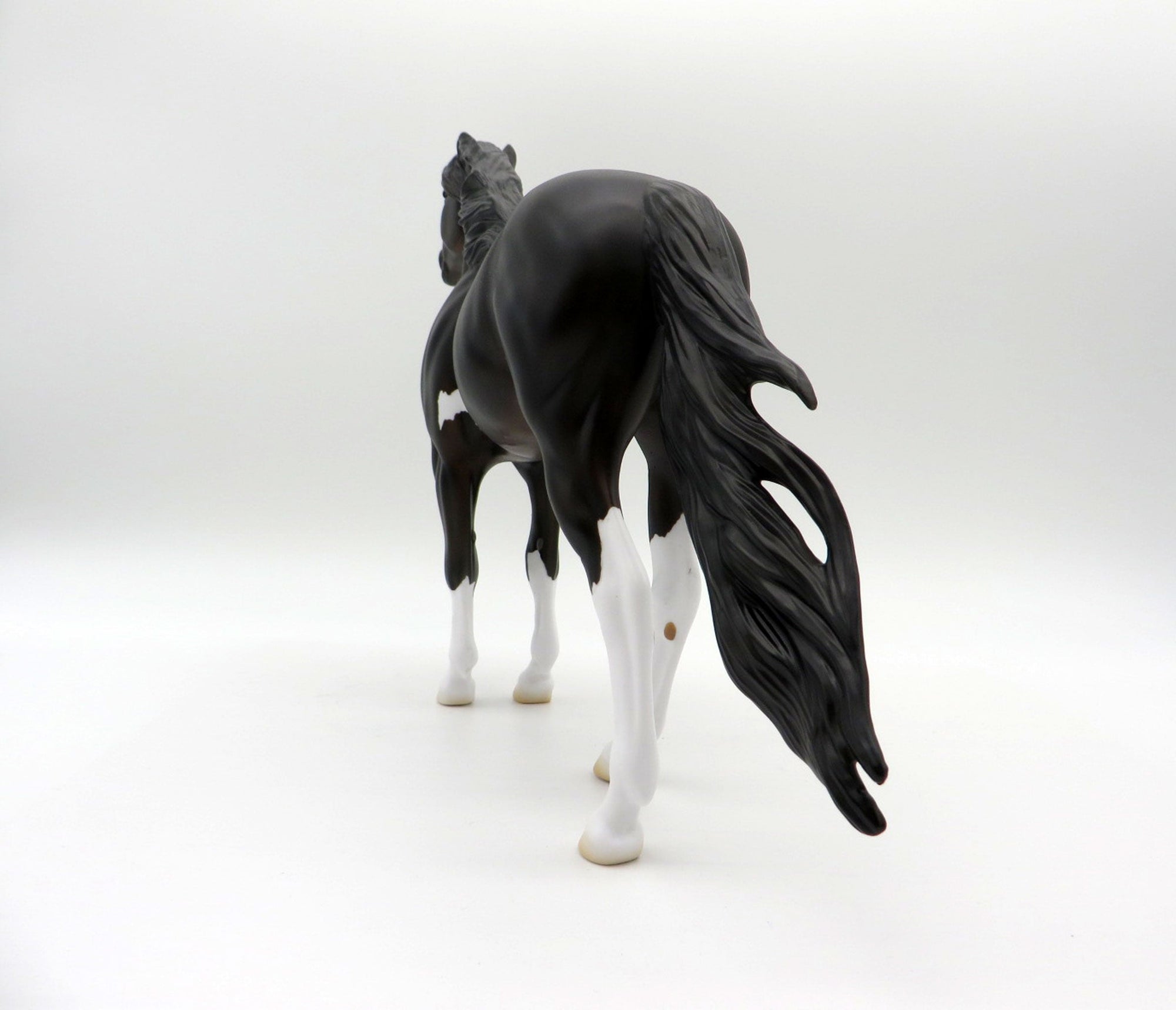 Perseus-OOAK Bay Pinto Mustang SHCF 2021