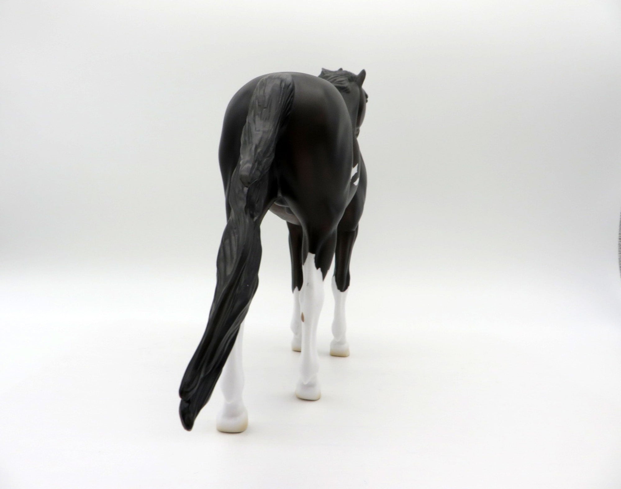 Perseus-OOAK Bay Pinto Mustang SHCF 2021