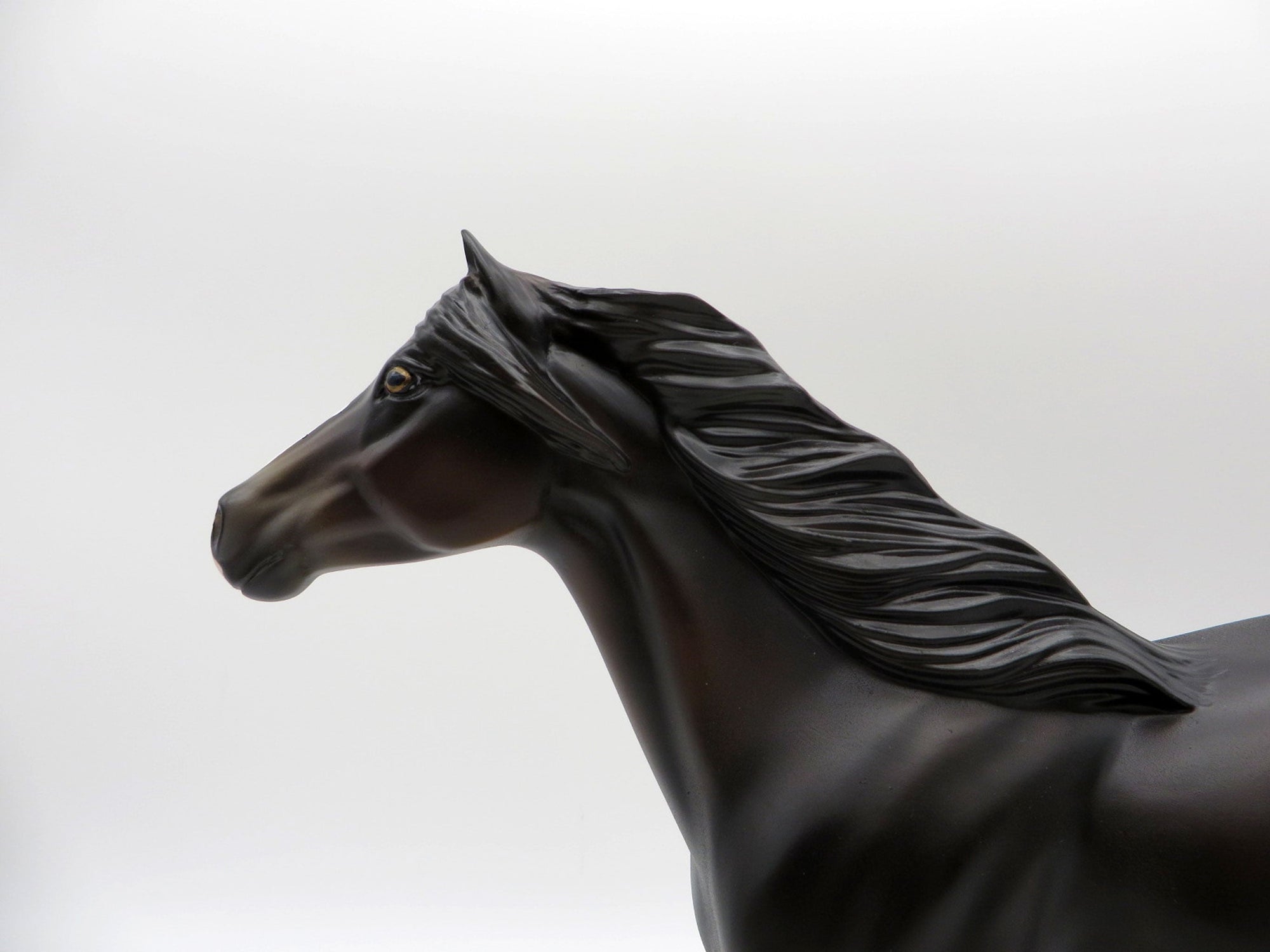 Perseus-OOAK Bay Pinto Mustang SHCF 2021