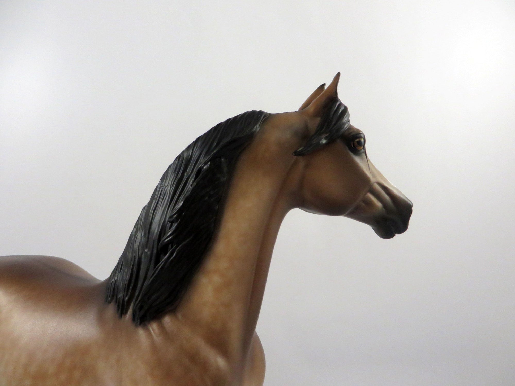 Phylange-OOAK Dapple Buckskin Morgan Painted by Sheryl Leisure 3/5/21