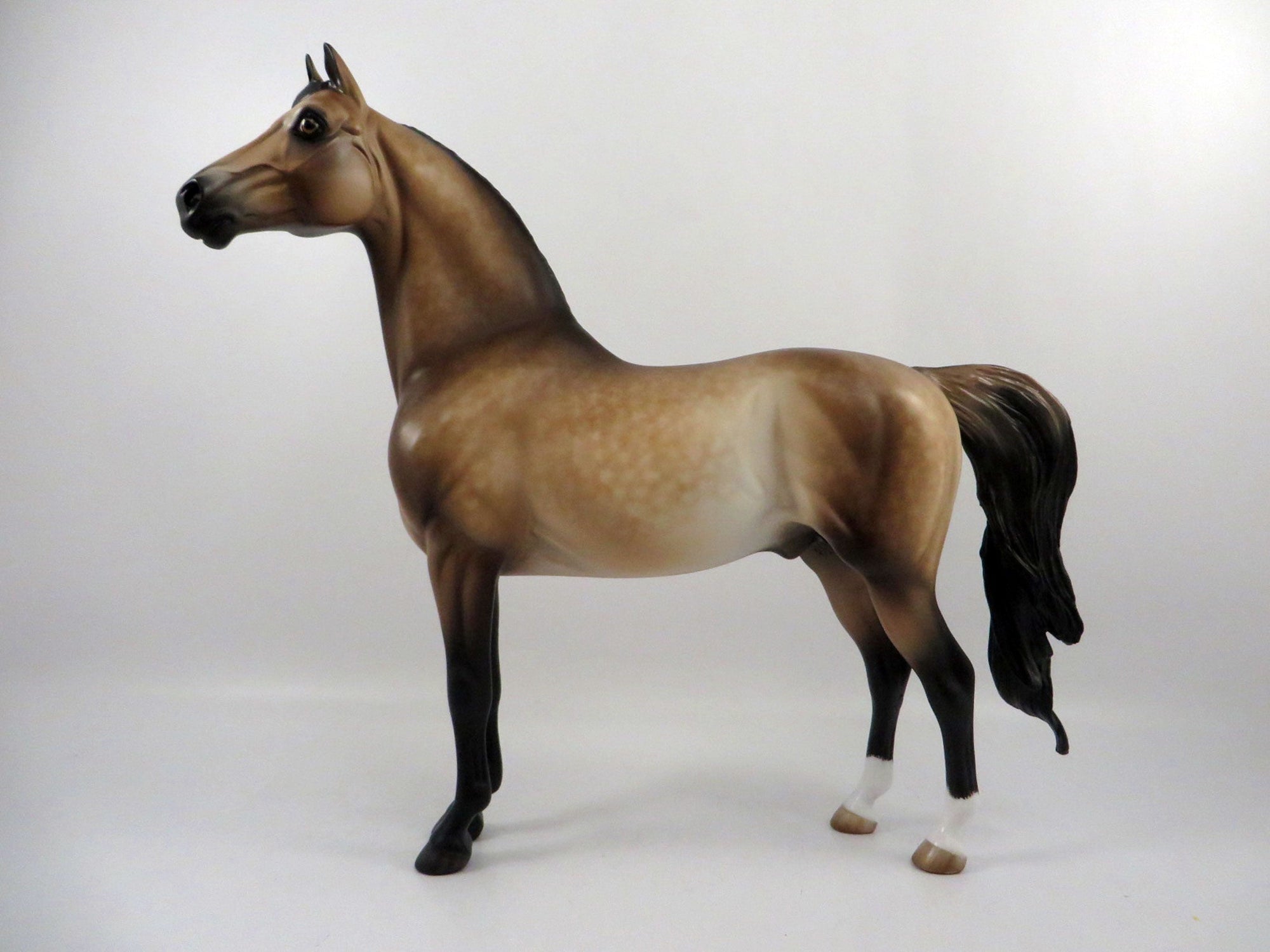 Phylange-OOAK Dapple Buckskin Morgan Painted by Sheryl Leisure 3/5/21