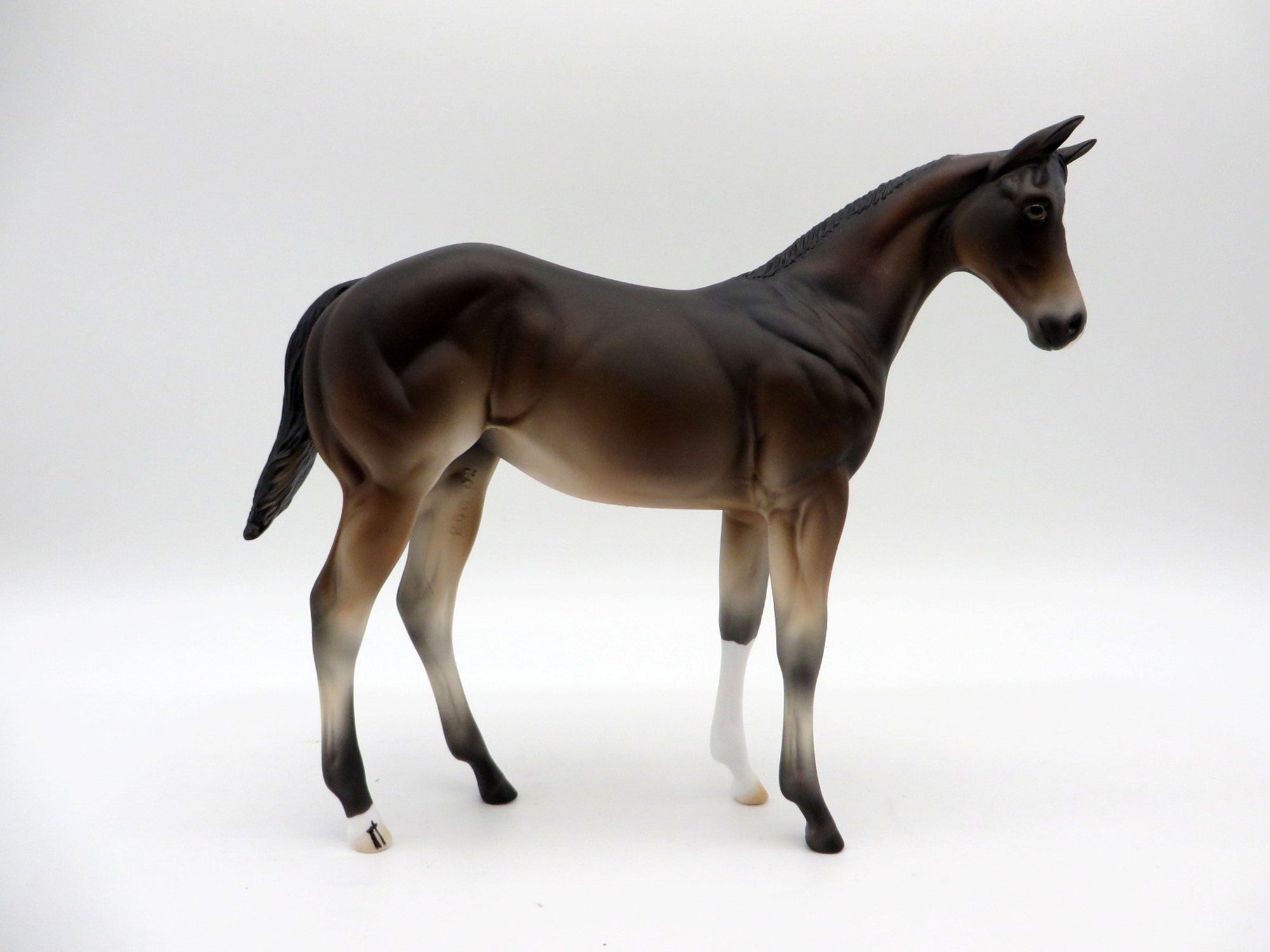 Poet Laureate-LE-5 Baby Bay Weanling Painted By Ellen Robbins EQ 21