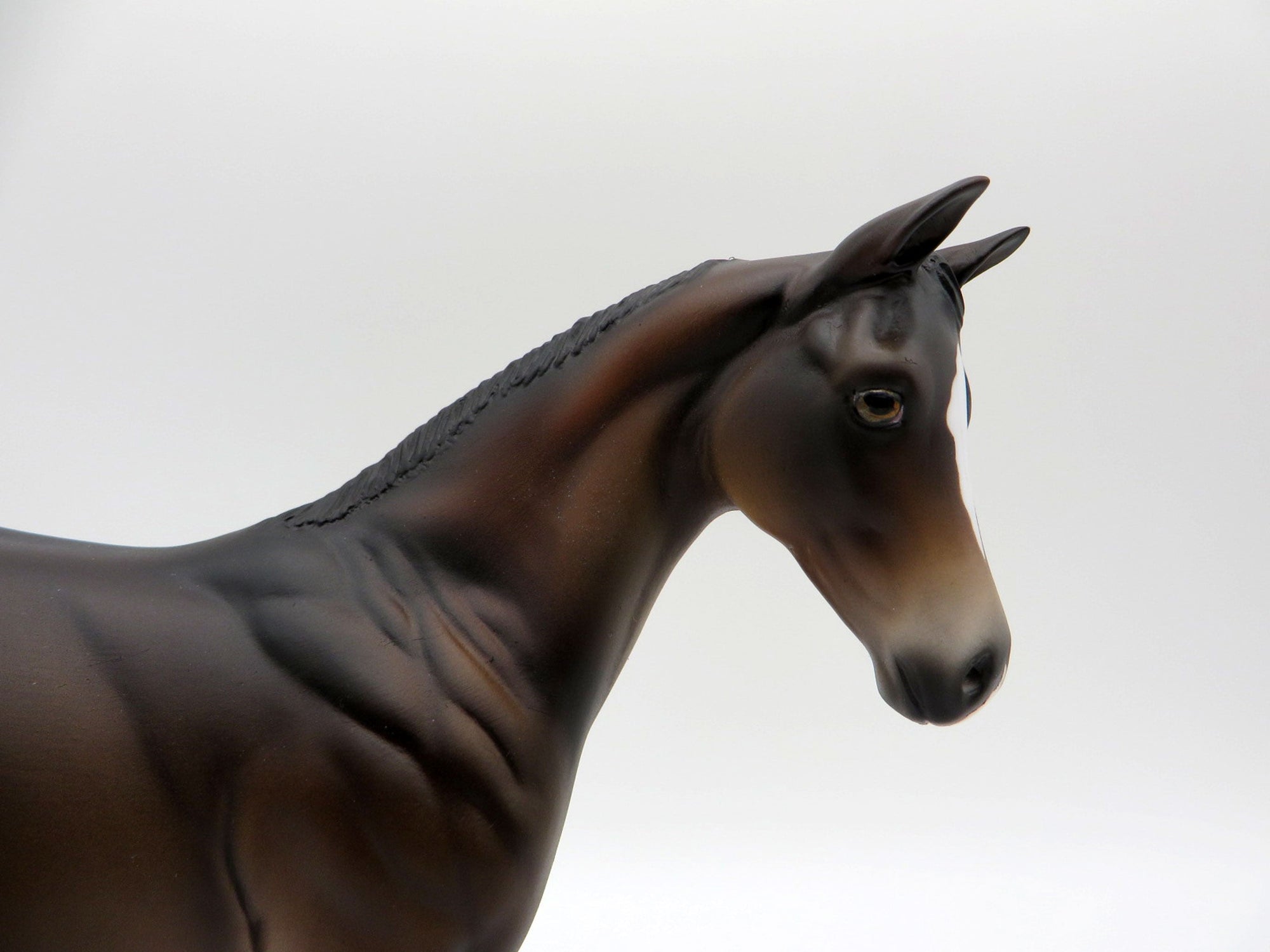 Poet Laureate-LE-5 Baby Bay Weanling Painted By Ellen Robbins EQ 21