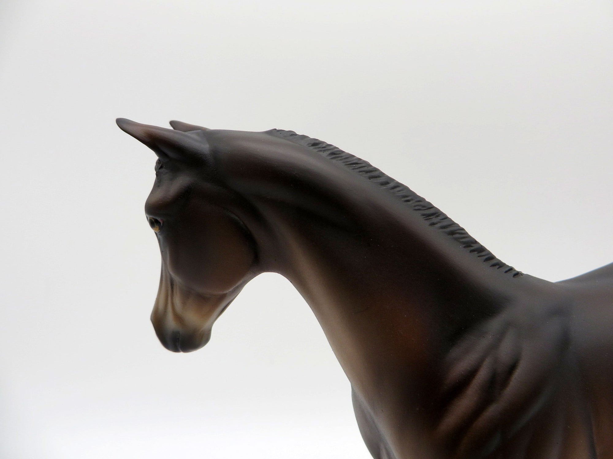 Poet Laureate-LE-5 Baby Bay Weanling Painted By Ellen Robbins EQ 21