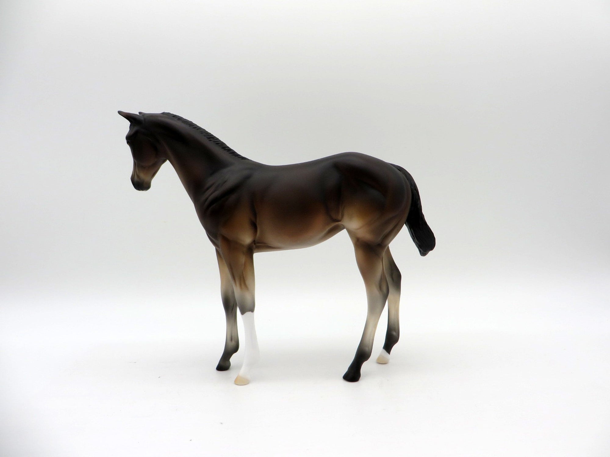 Poet Laureate-LE-5 Baby Bay Weanling Painted By Ellen Robbins EQ 21