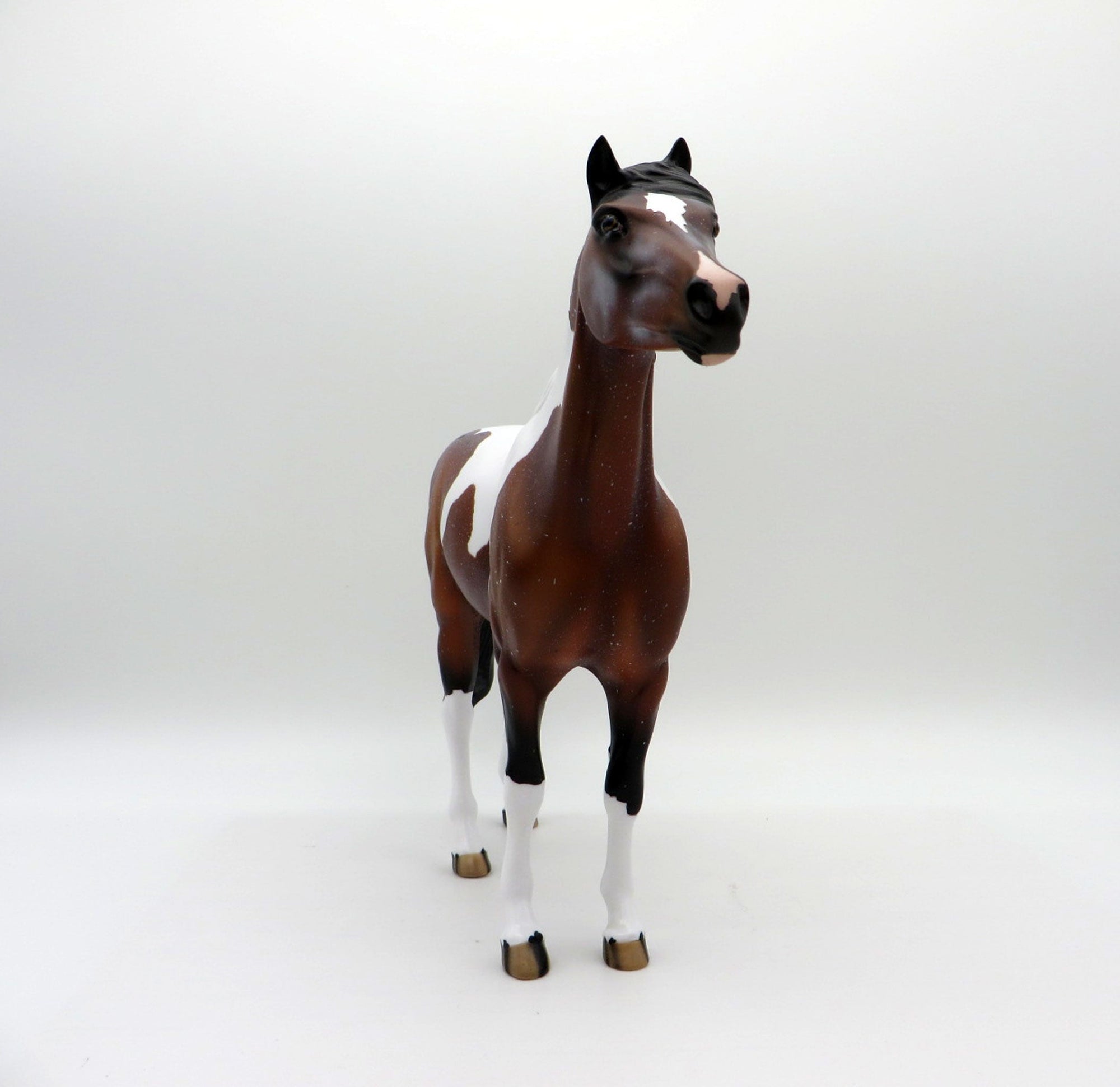 Pop-OOAK Bay Roan Pinto Mustang Painted by Audrey Dixon EQ 2021