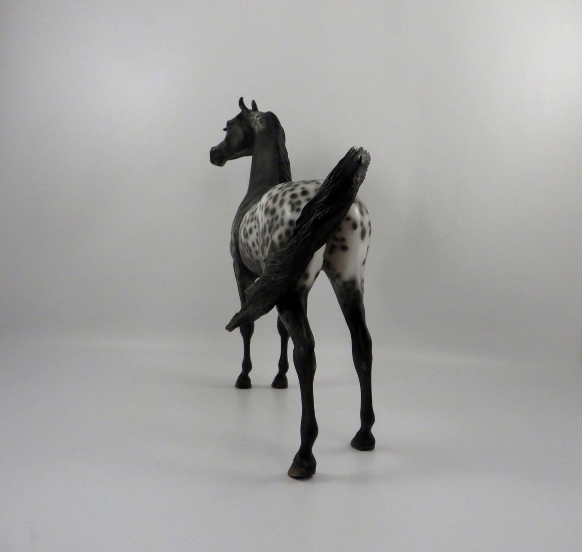 Psychwave-OOAK Loud Appaloosa Painted By Sheryl Leisure 2/25/21