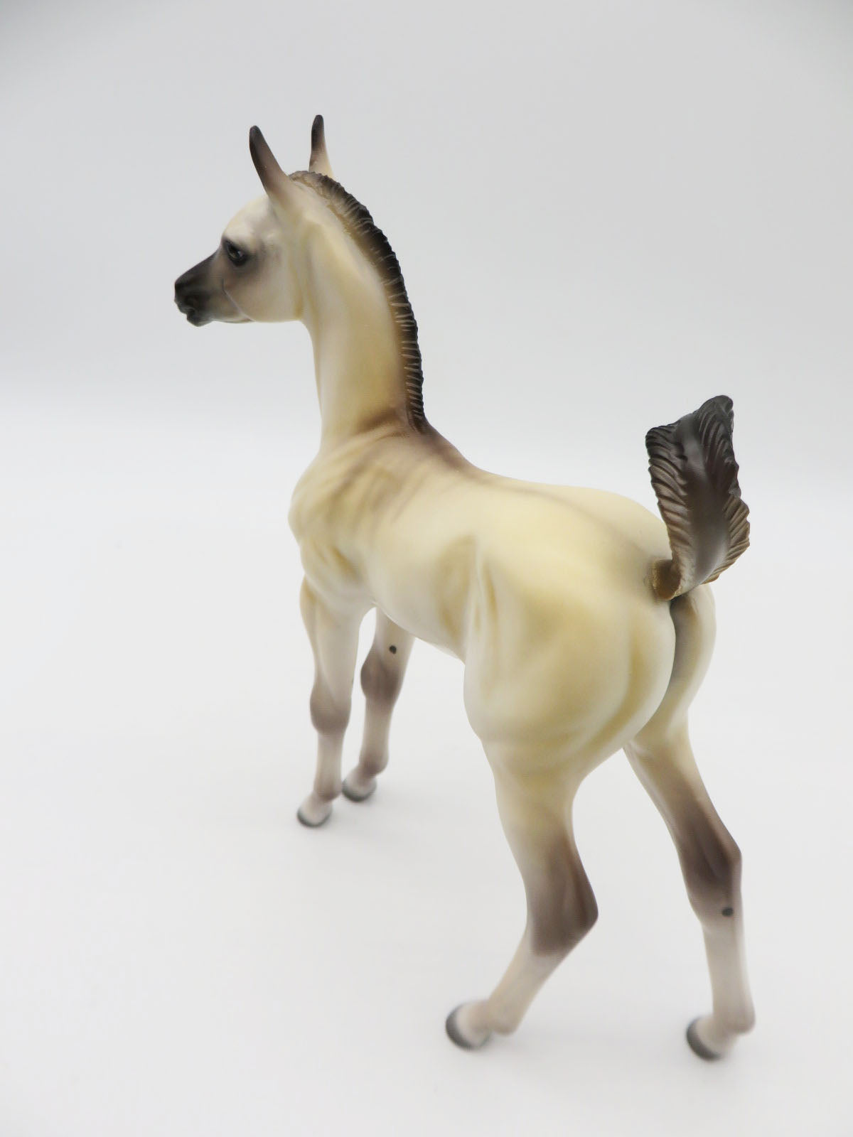 Pugsly - LE-15 "PUG" Arabian Foal by Ellen Robbins P&C 23
