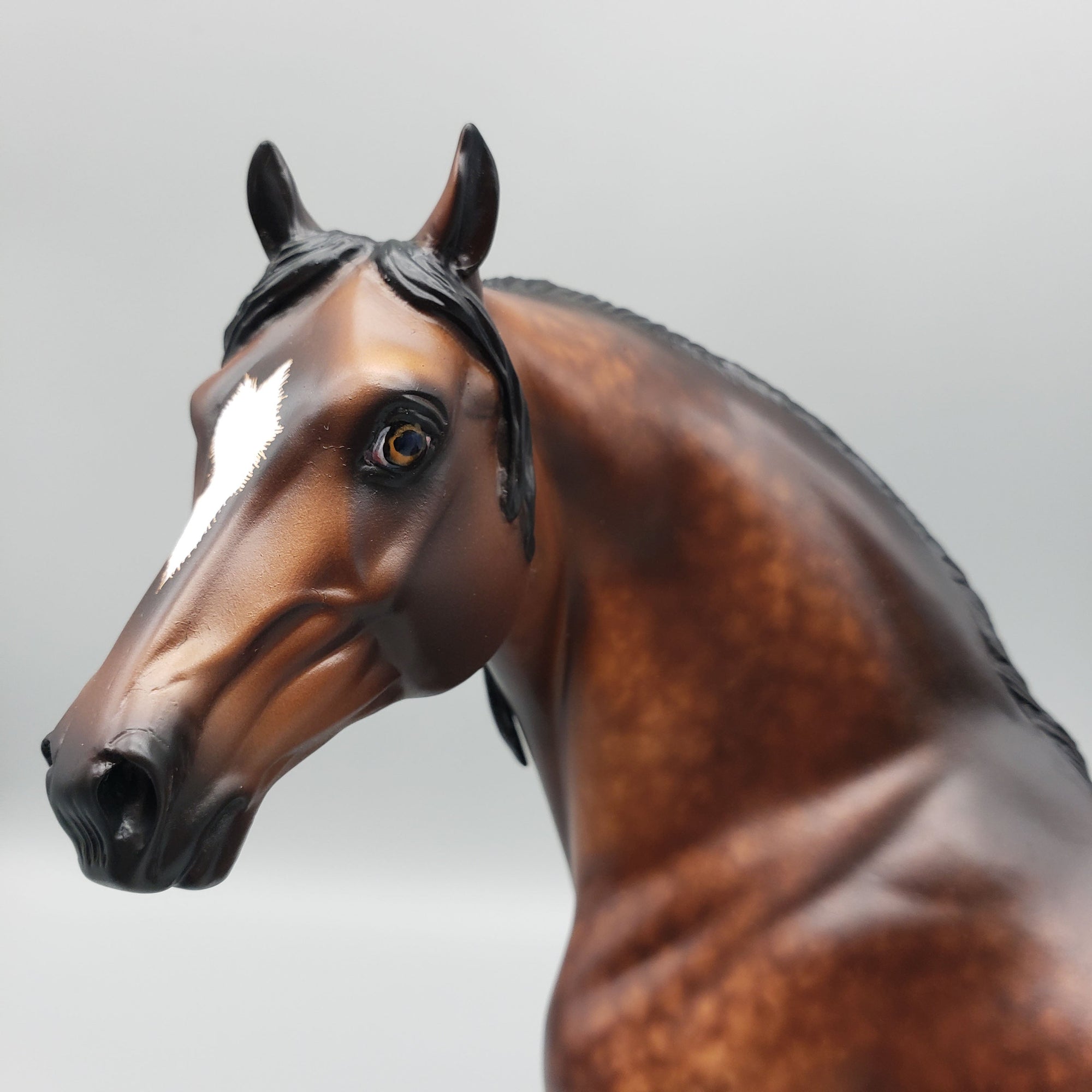 Raj OOAK Dappled Bay Morgan By Sheryl Leisure Best Offers 6/12/23