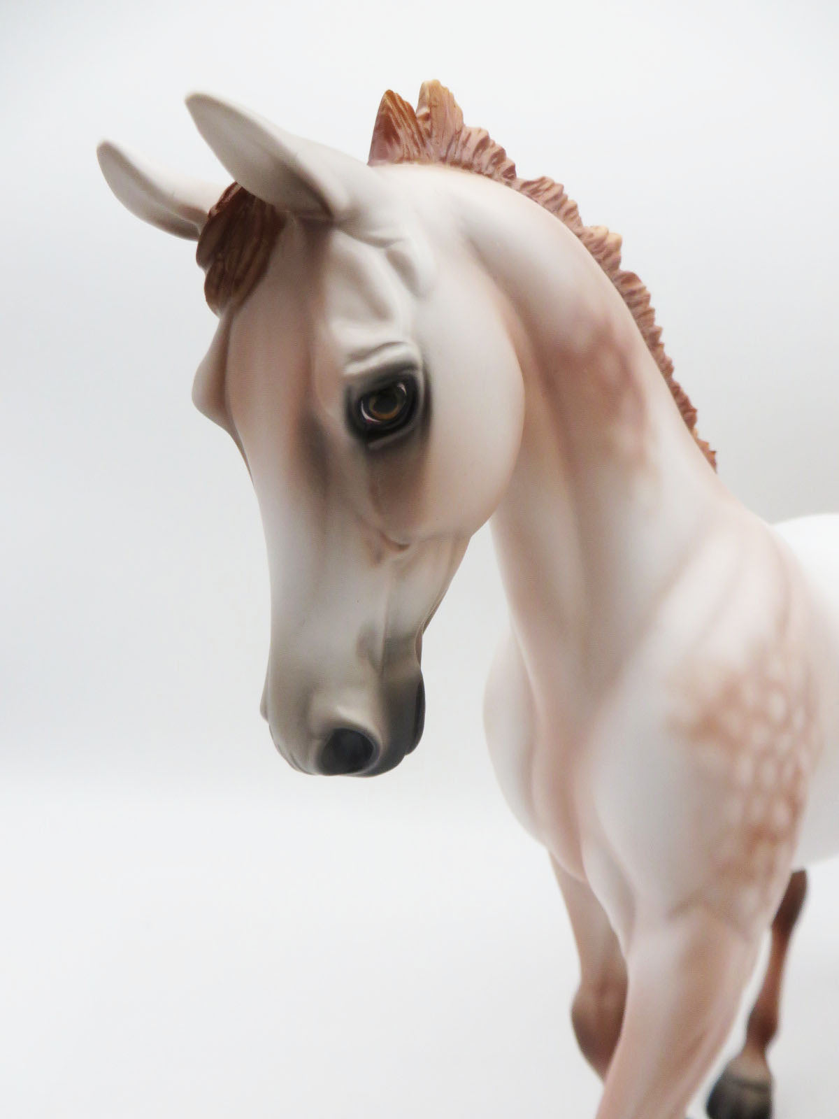 SAMPLE Red Tag Run Dapple Mulberry Grey Palouse By Ashley Palmer