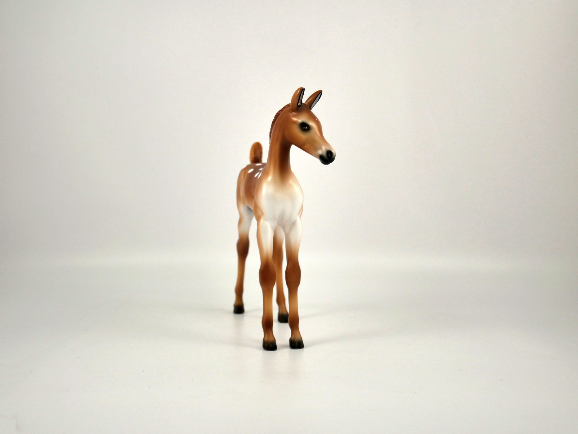 Mistletoe-LE-6 Reindeer Foal 12/18/20