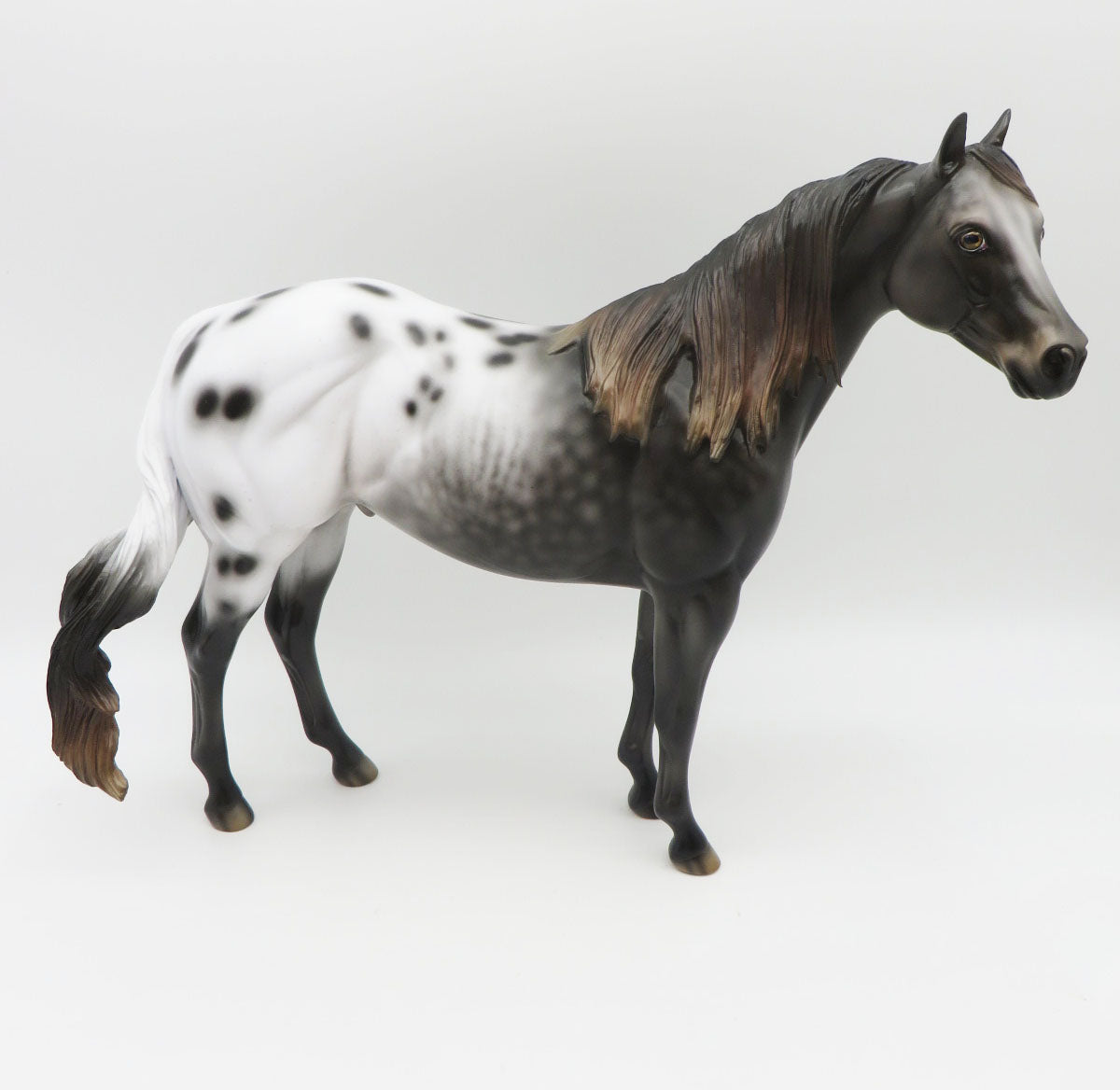 Sauin - OOAK - BEST OFFER - Custom Appaloosa Ideal Stock Horse Painted By Jess Hamill - MM22