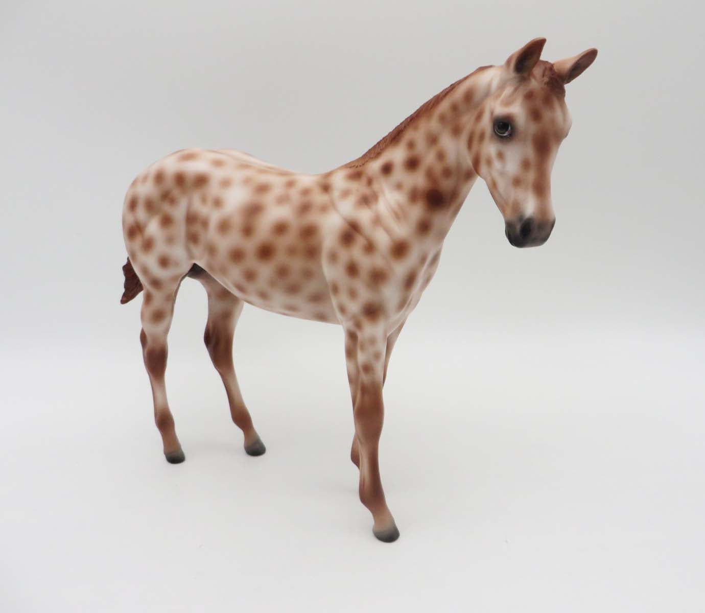 Sparrow -OOAK Chestnut Appaloosa Weanling By Ashley- SHCF23