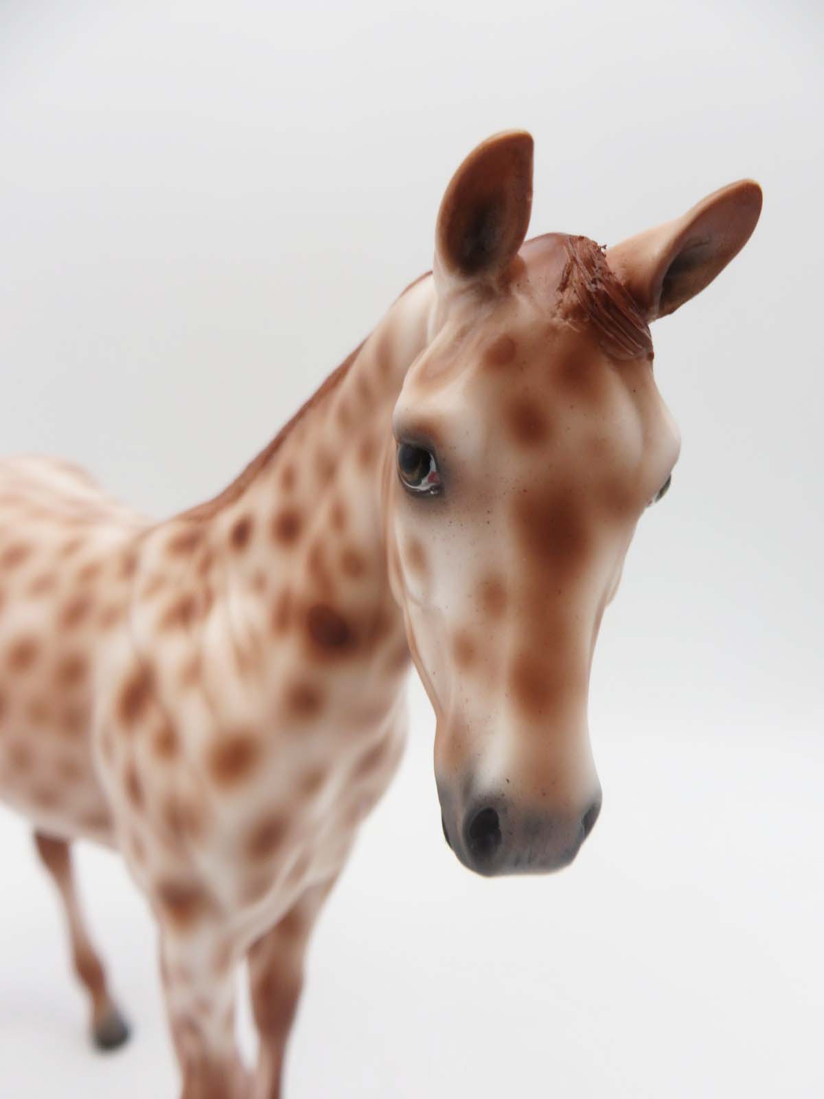 Sparrow -OOAK Chestnut Appaloosa Weanling By Ashley- SHCF23