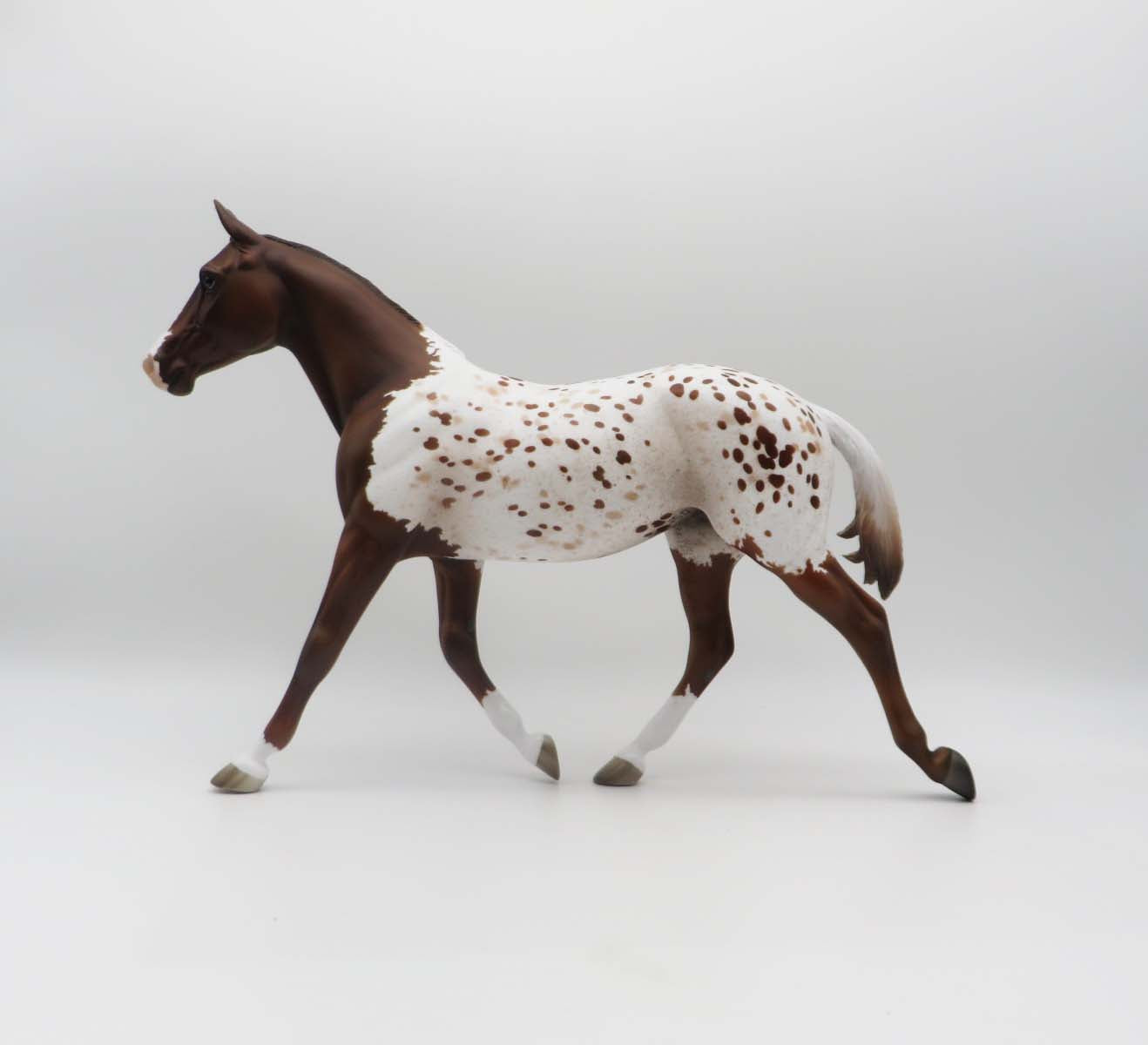 Springer - OOAK - Chestnut Appaloosa Palouse By Jess Hamill - P&C 23