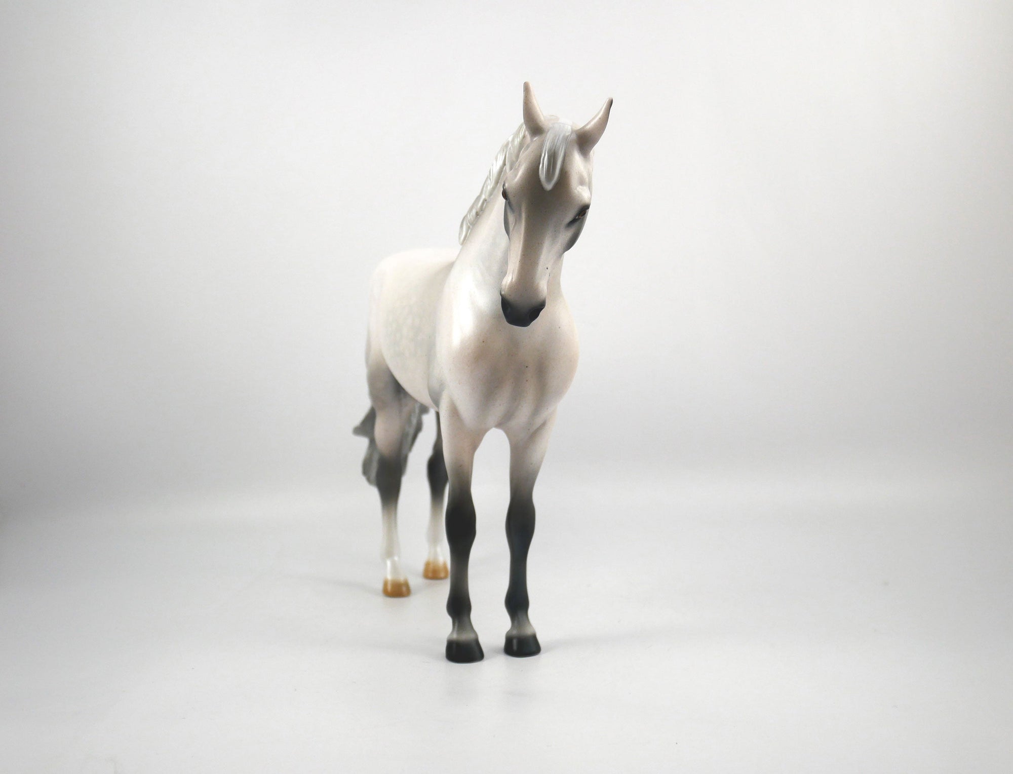 Stadium-OOAK Fleabit Andalusian Painted by Audrey Dixon SB21