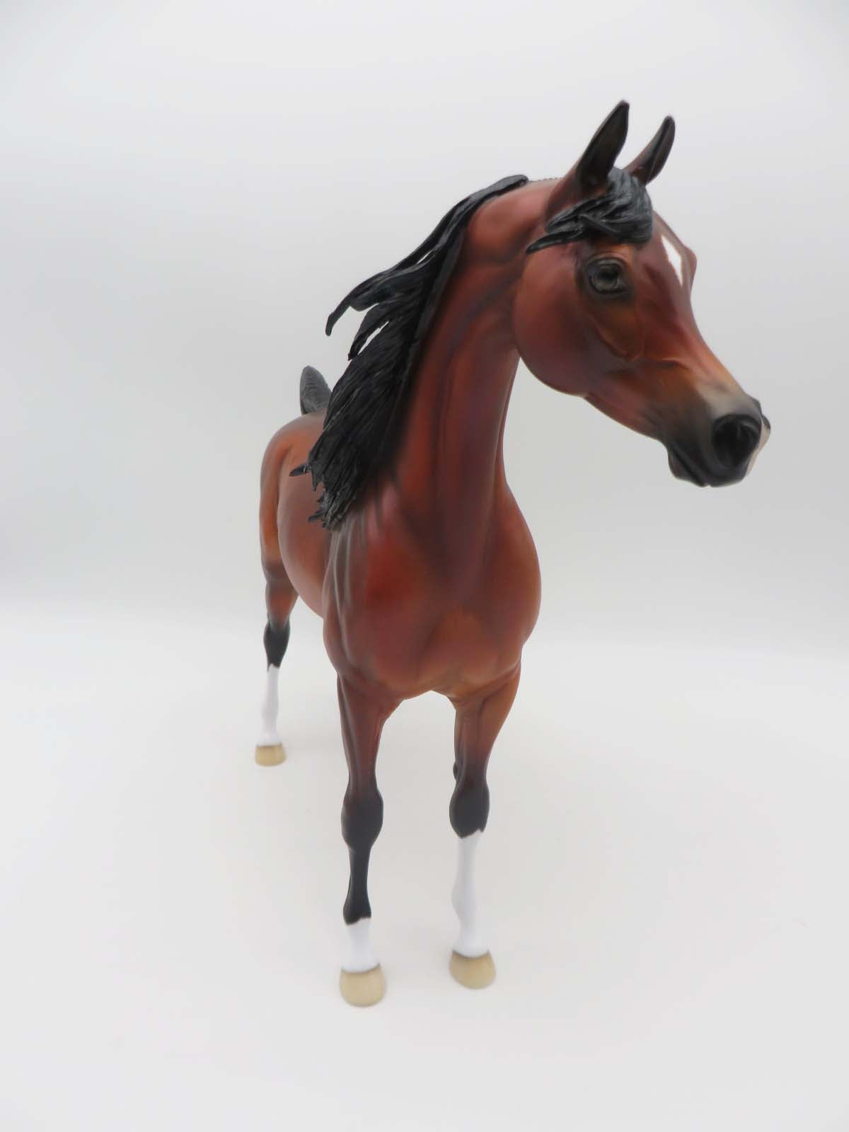 The Legend Lives On - OOAK - Dappled Bay Arabian By Ellen Robbins - SHCF23 Best Offer