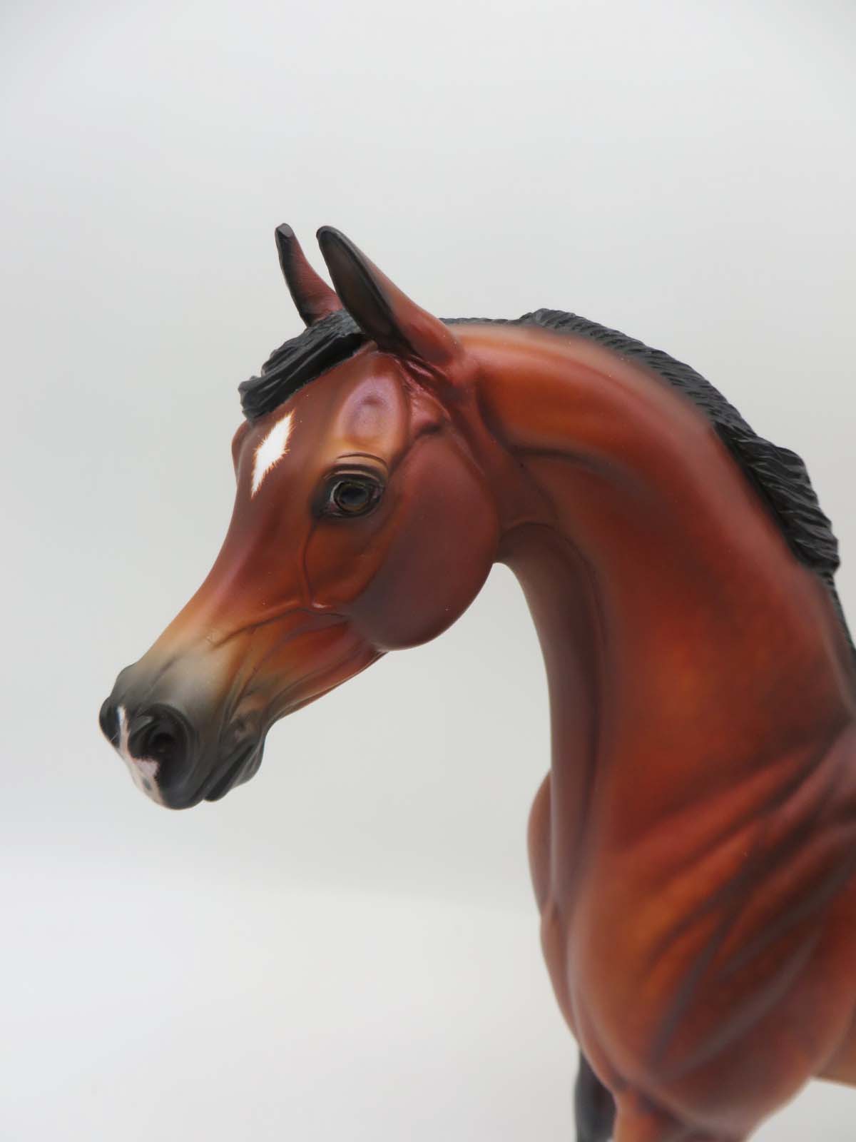 The Legend Lives On - OOAK - Dappled Bay Arabian By Ellen Robbins - SHCF23 Best Offer