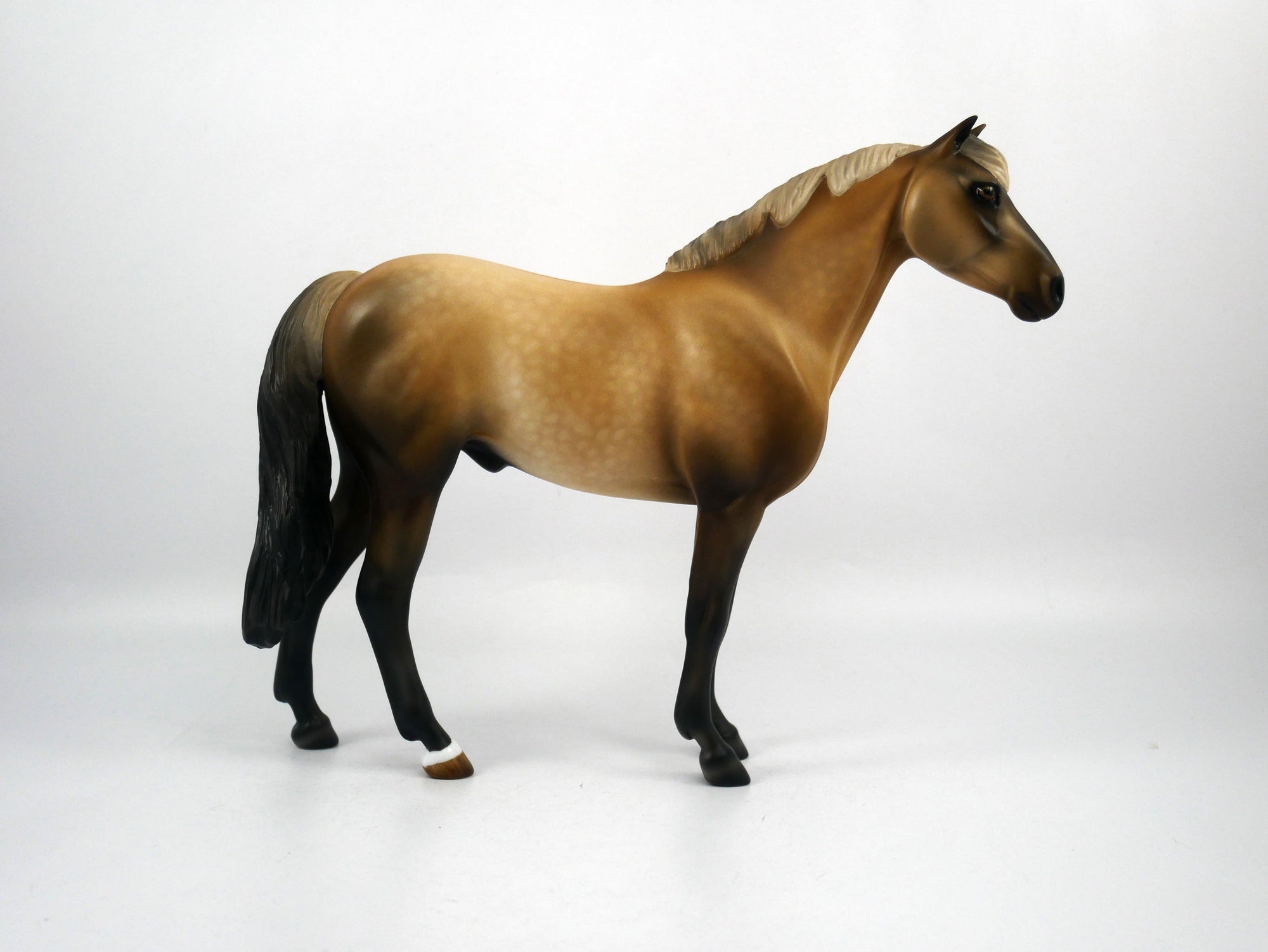 Tampa-OOAK Mustang Painted by Audrey Dixon SB21