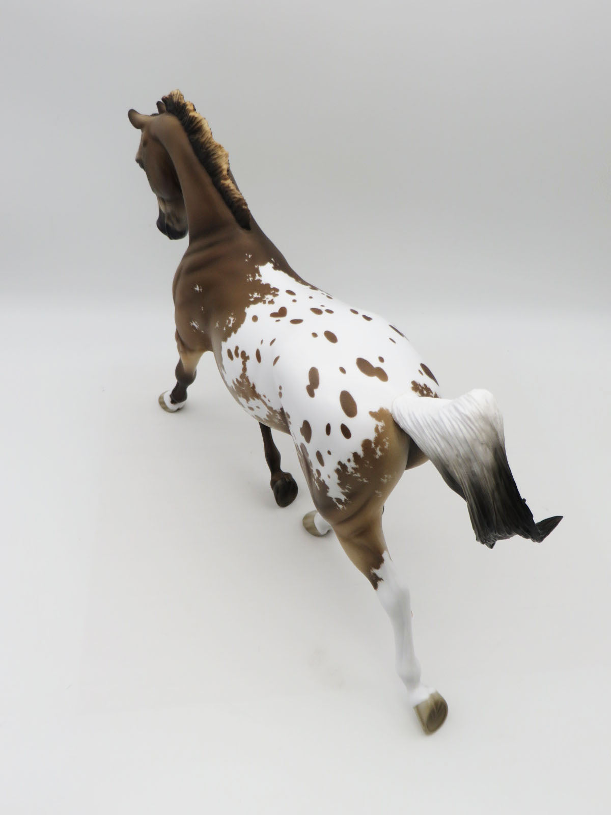 Tanith - OOAK - Buckskin Appaloosa Palouse by Jess Hamill - Best Offers 1/30/23