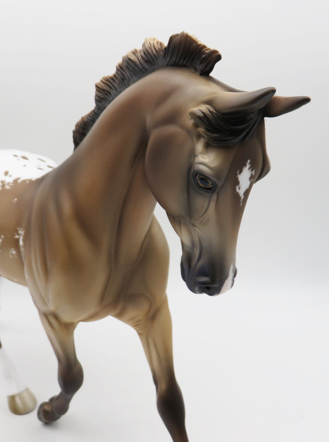 Tanith - OOAK - Buckskin Appaloosa Palouse by Jess Hamill - Best Offers 1/30/23