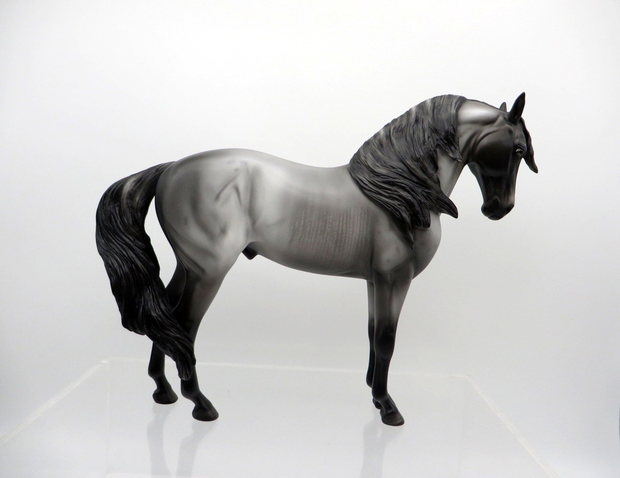 Thale-OOAK Black Andalusian 3/15/21