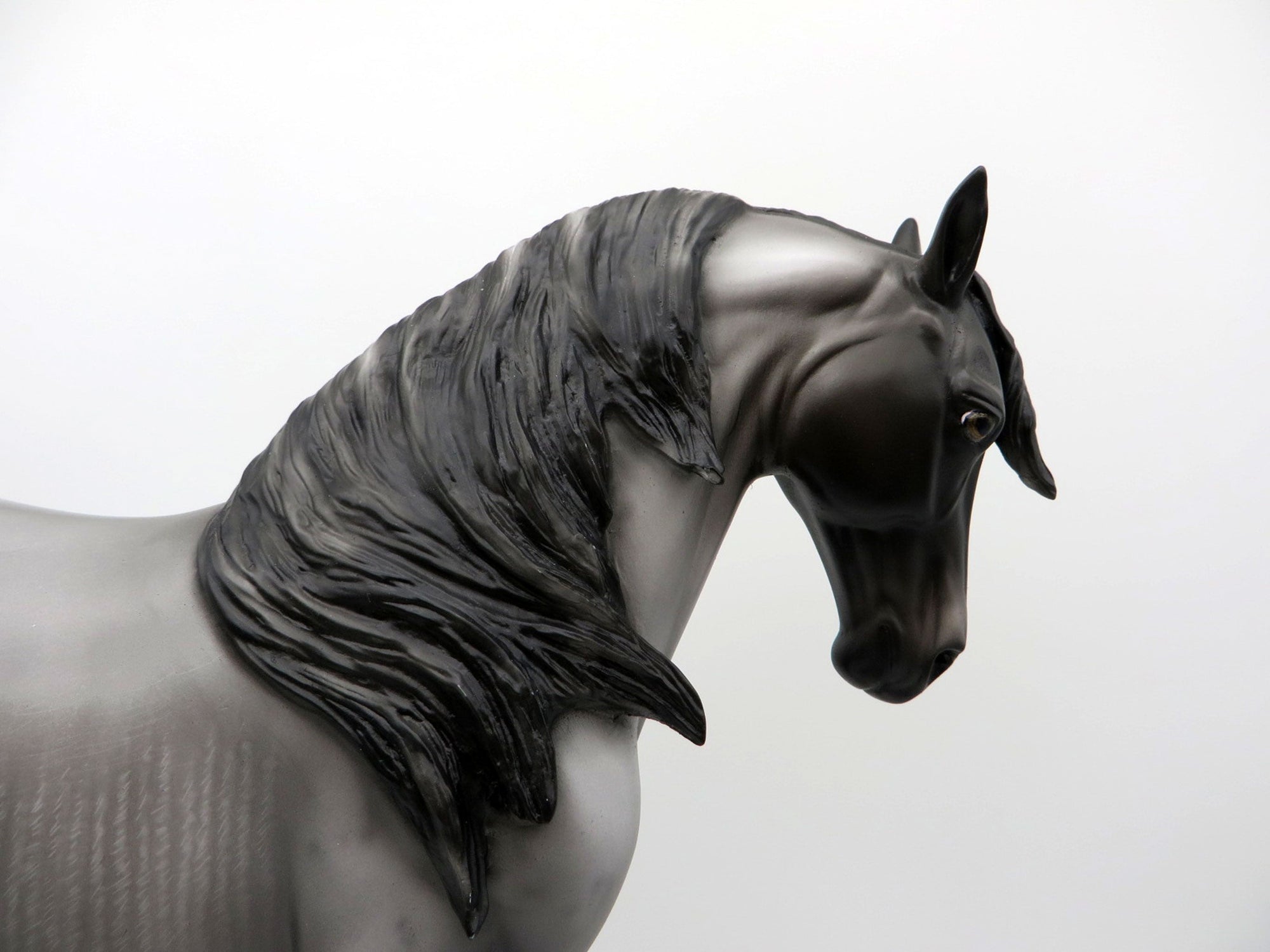 Thale-OOAK Black Andalusian 3/15/21