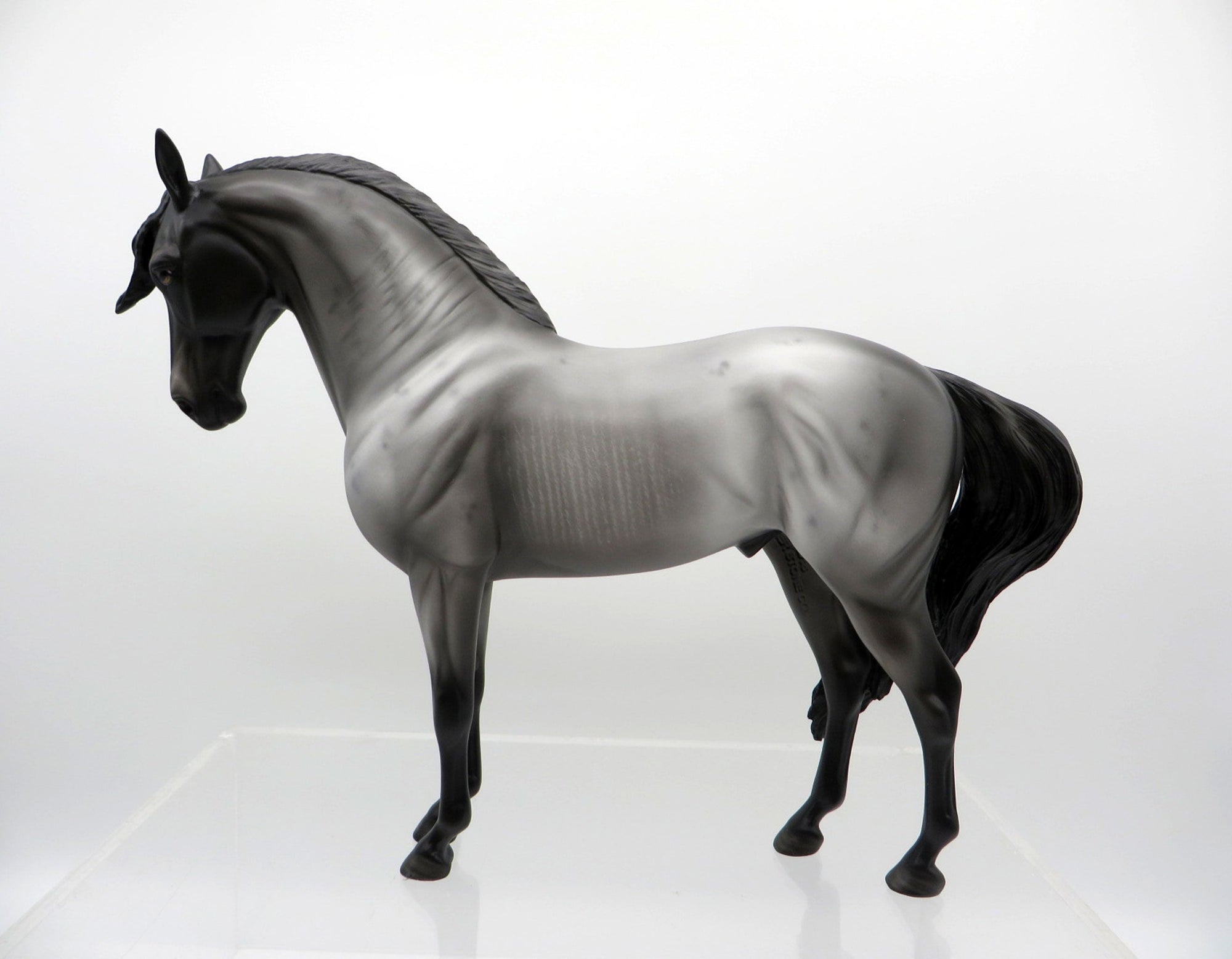 Thale-OOAK Black Andalusian 3/15/21