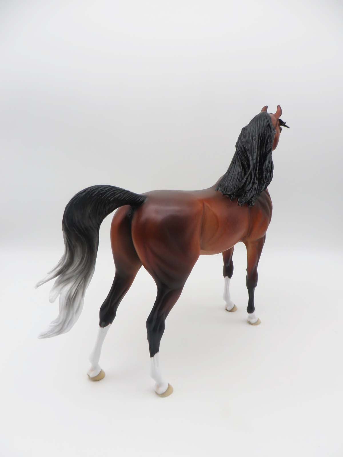 The Legend Lives On - OOAK - Dappled Bay Arabian By Ellen Robbins - SHCF23 Best Offer