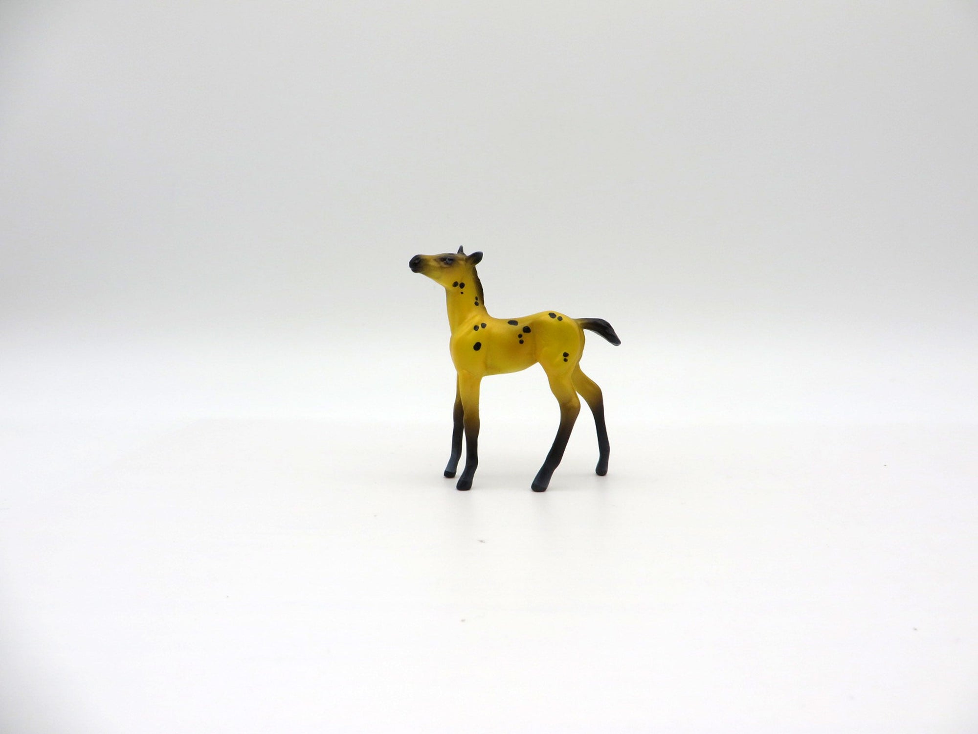 Thecacera-OOAK Foal Chip Deco Sea Slug Painted By Ellen Robbins 7/16/21