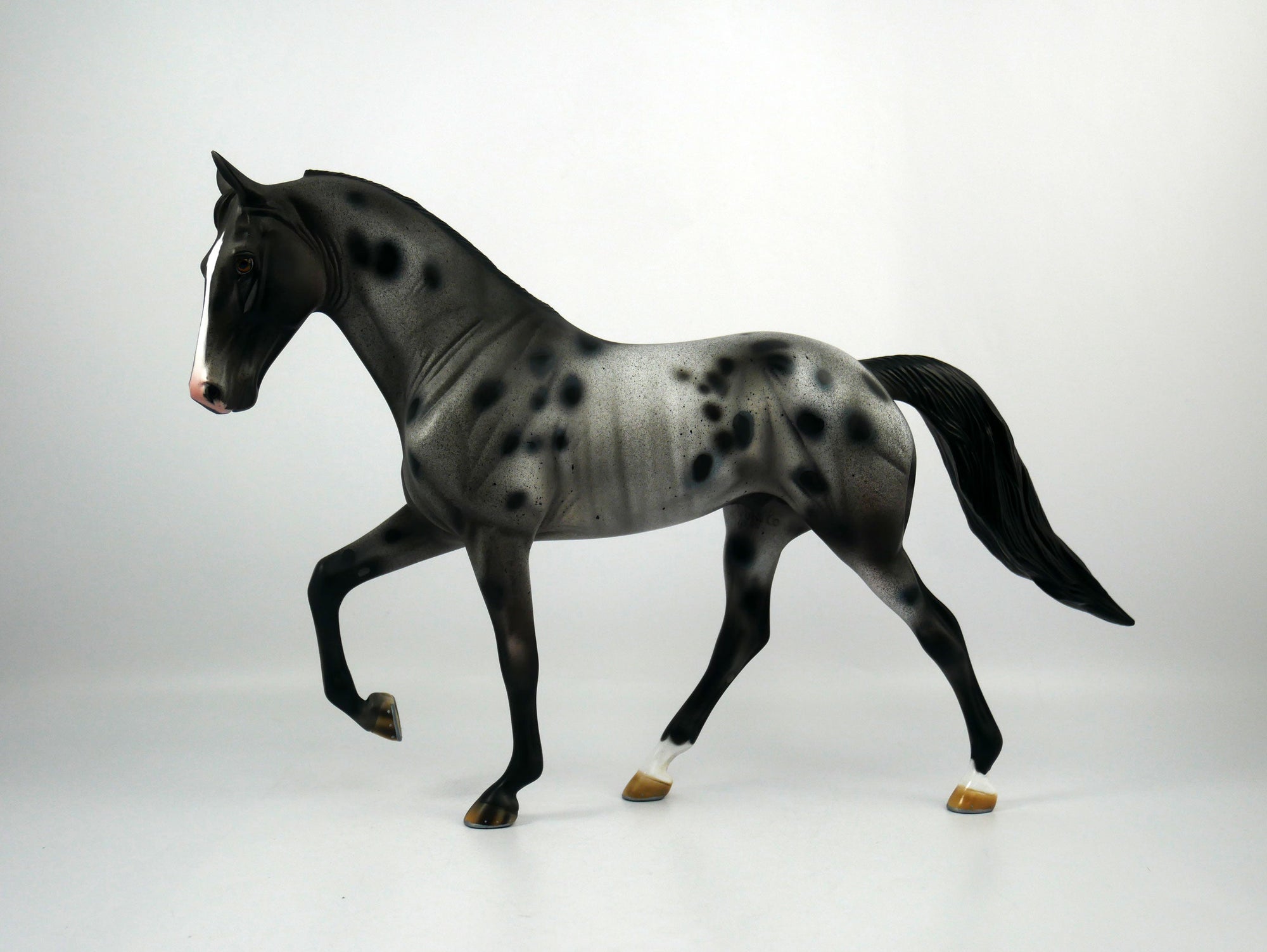 U2-OOAK Appaloosa Tennessee Walking Horse 1/8/21