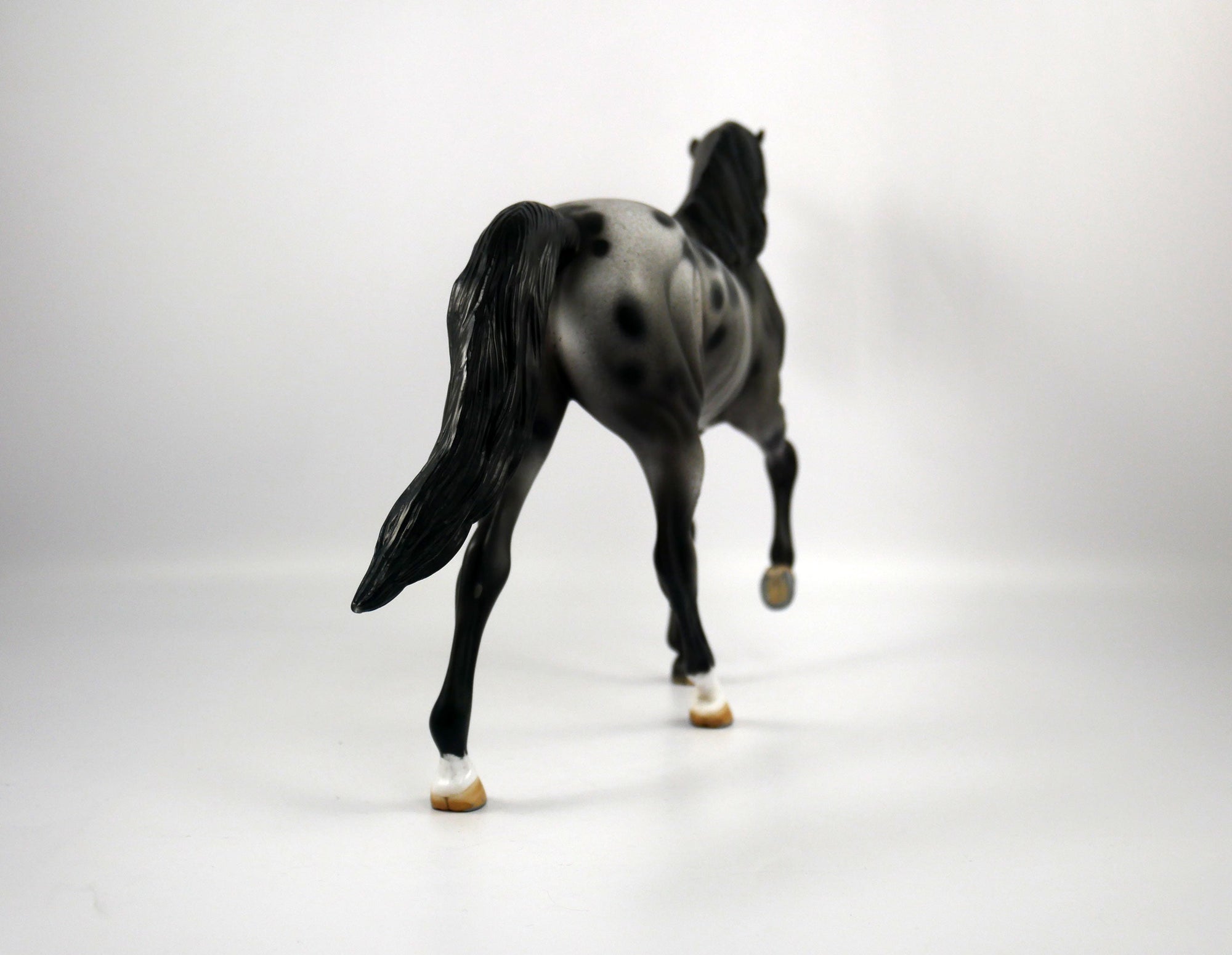 U2-OOAK Appaloosa Tennessee Walking Horse 1/8/21