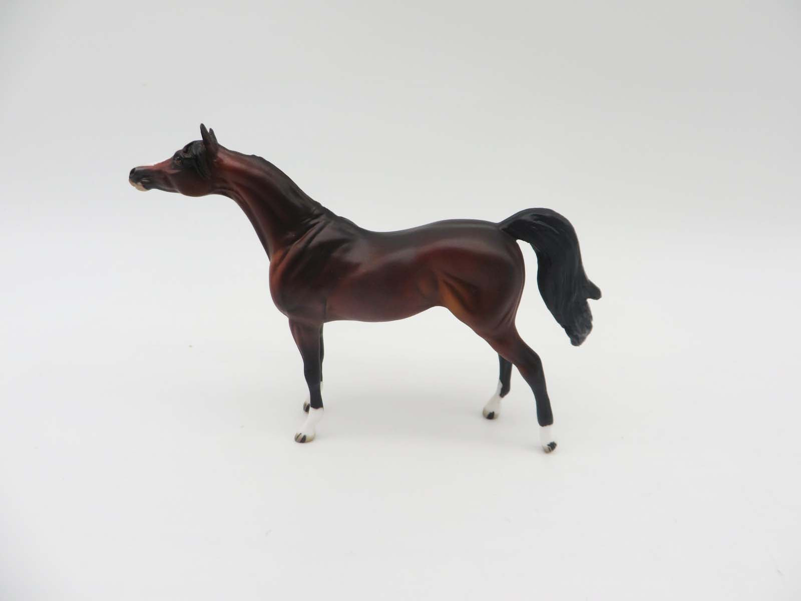 Wild West Show OOAK Bay Arabian Chip By Donna Fredley SHCF23