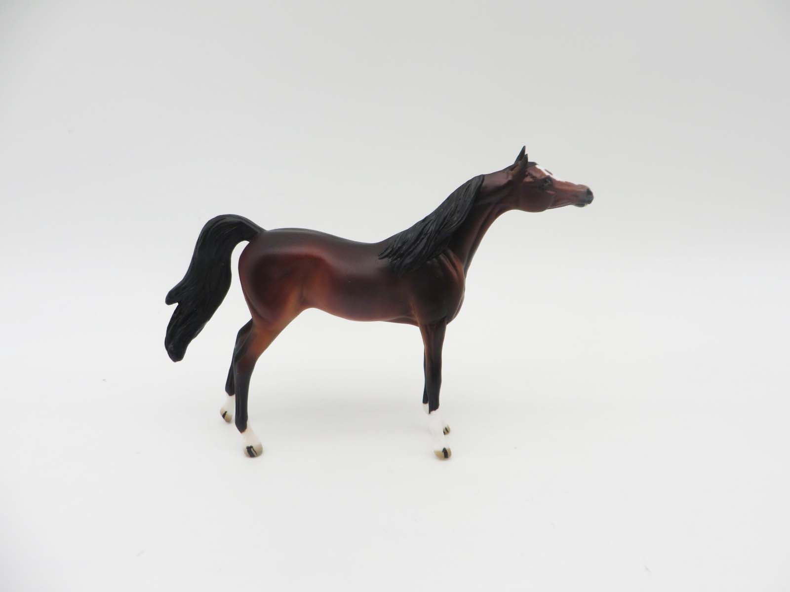 Wild West Show OOAK Bay Arabian Chip By Donna Fredley SHCF23